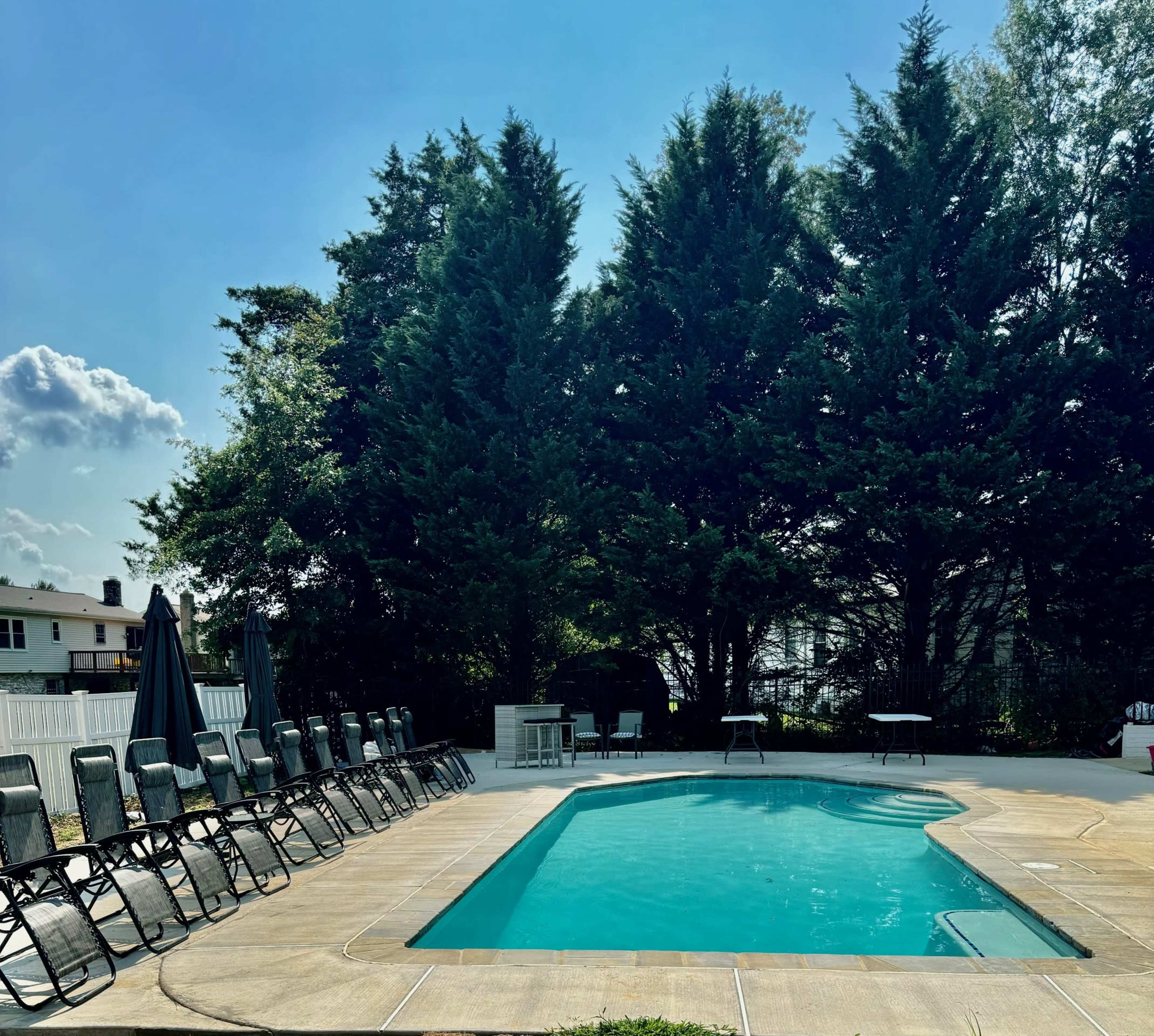 A swimming pool surrounded by lounge chairs and large trees under a clear blue sky.