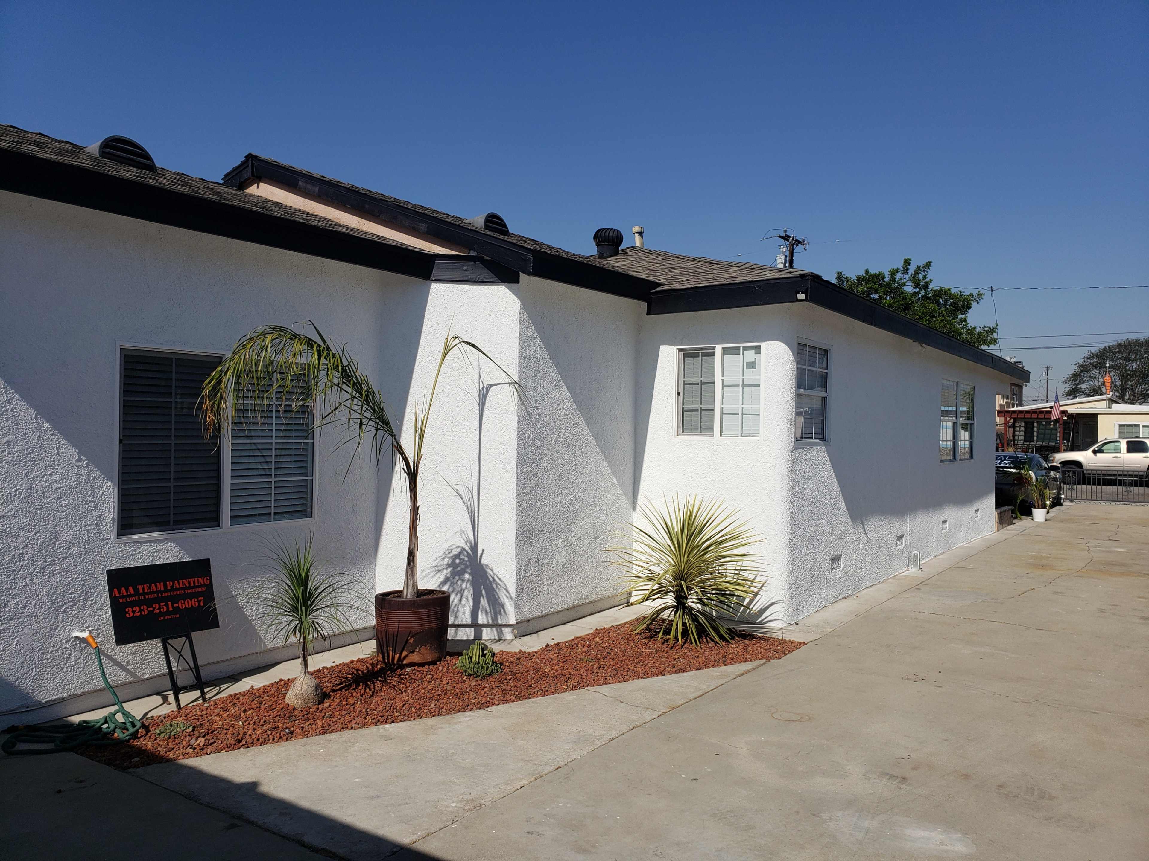 A white exterior house features a small garden with a palm tree and rocks along the side.
