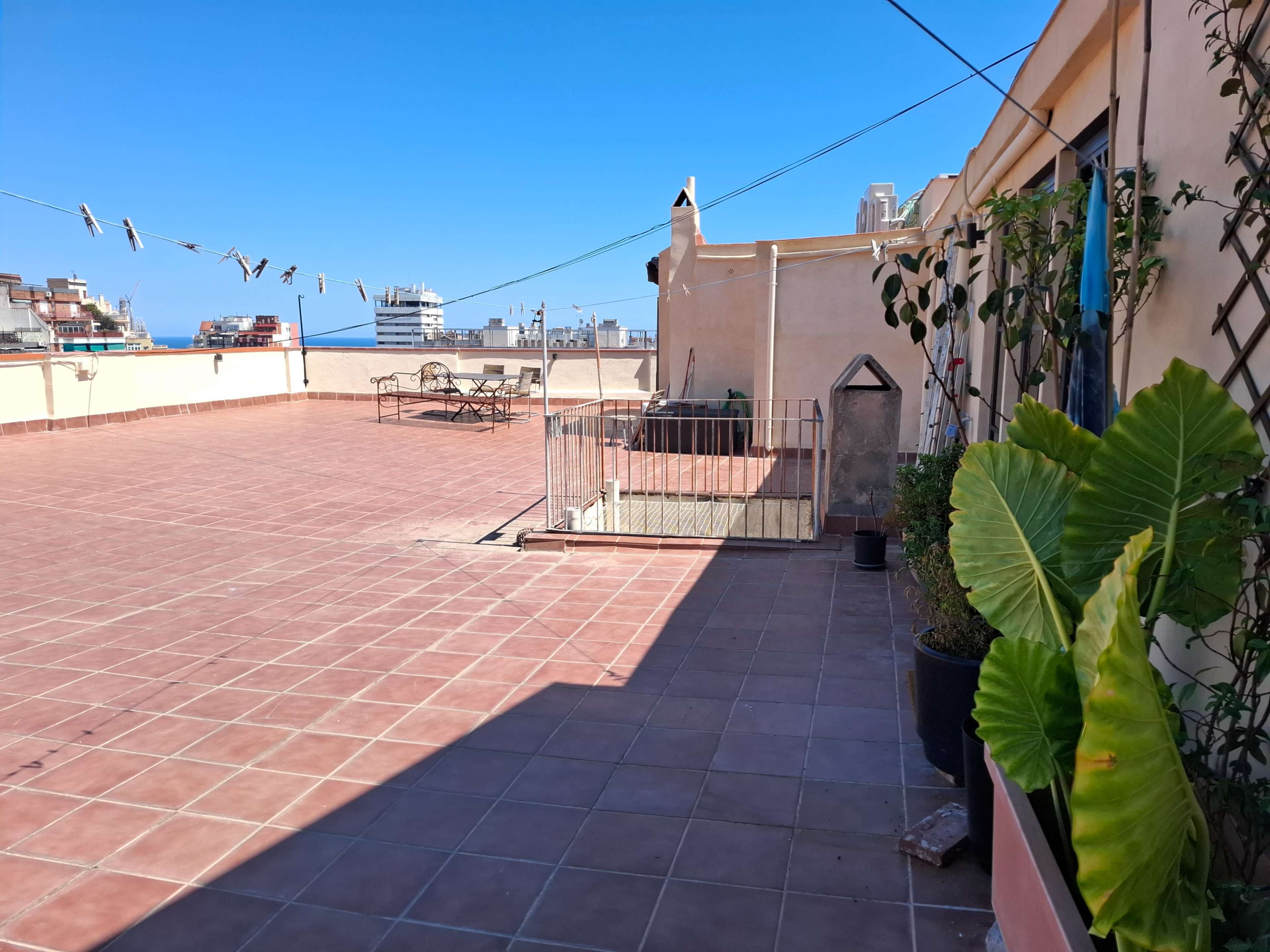 The image shows a spacious rooftop terrace with a tiled floor, potted plants, and a clothesline in the background.