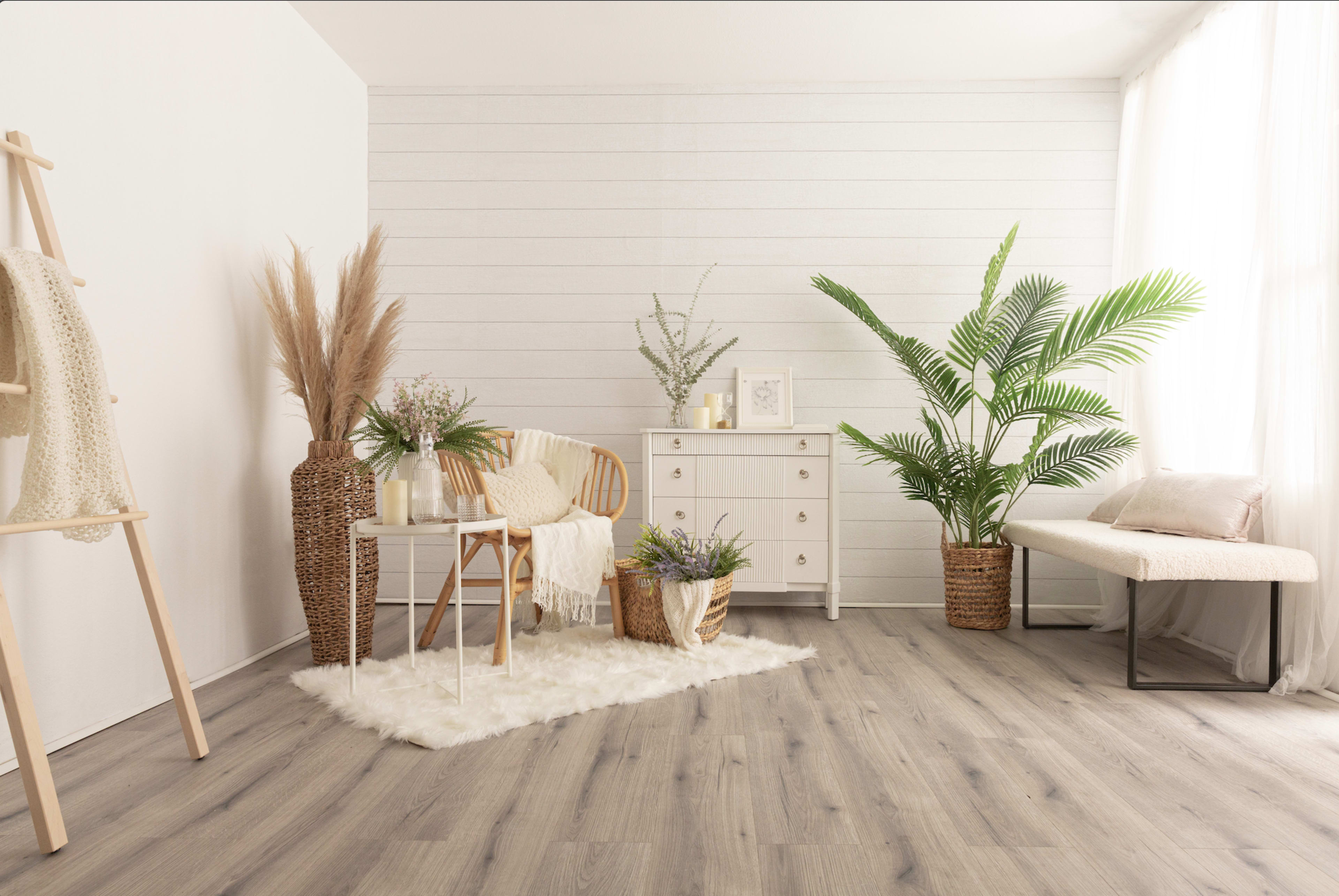 The image shows a bright, minimalistic living space featuring a wooden chair, a small white dresser, and various potted plants arranged around a soft area rug.