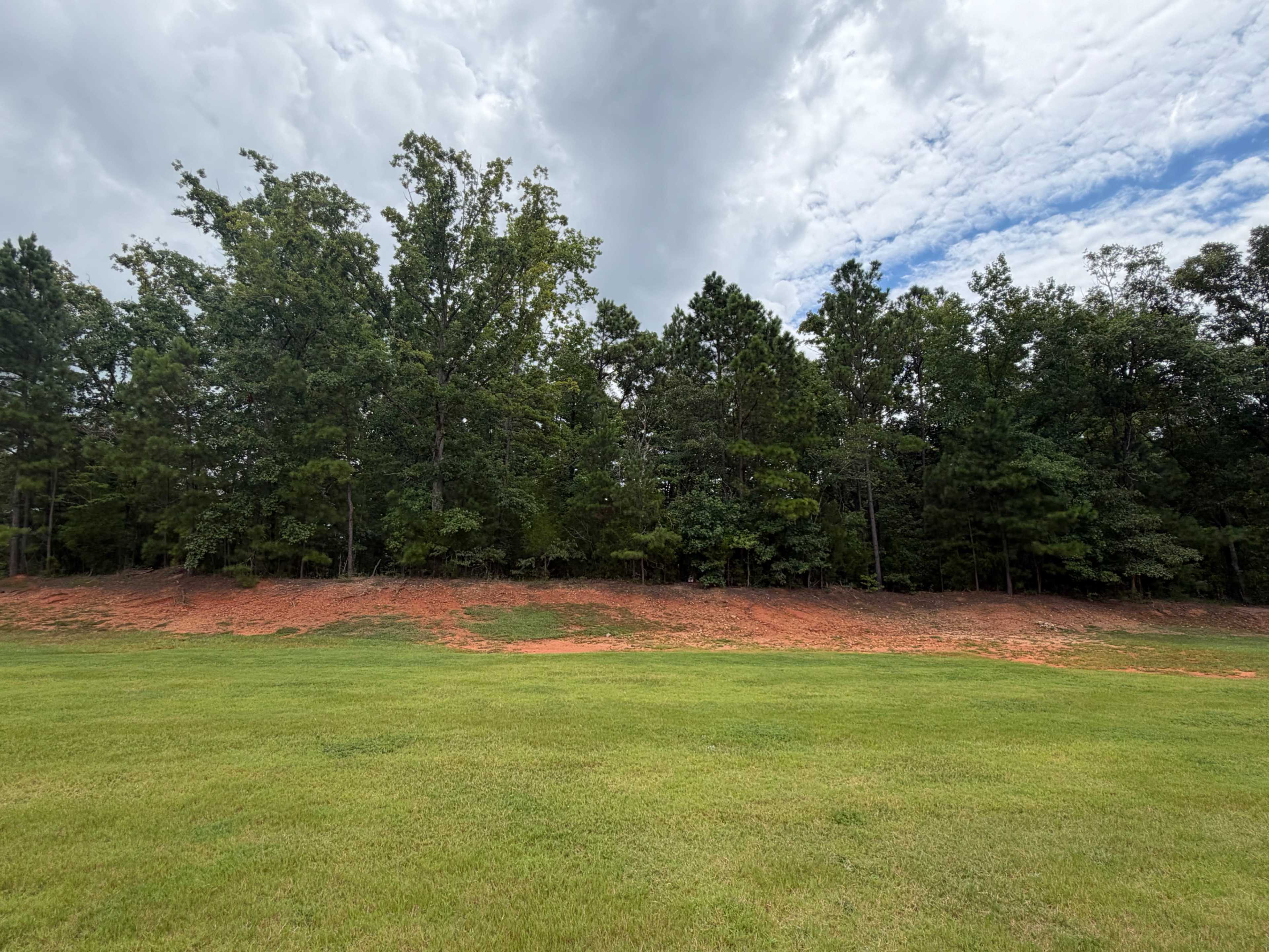 A grassy field leads to a tree line with various trees under a partly cloudy sky.