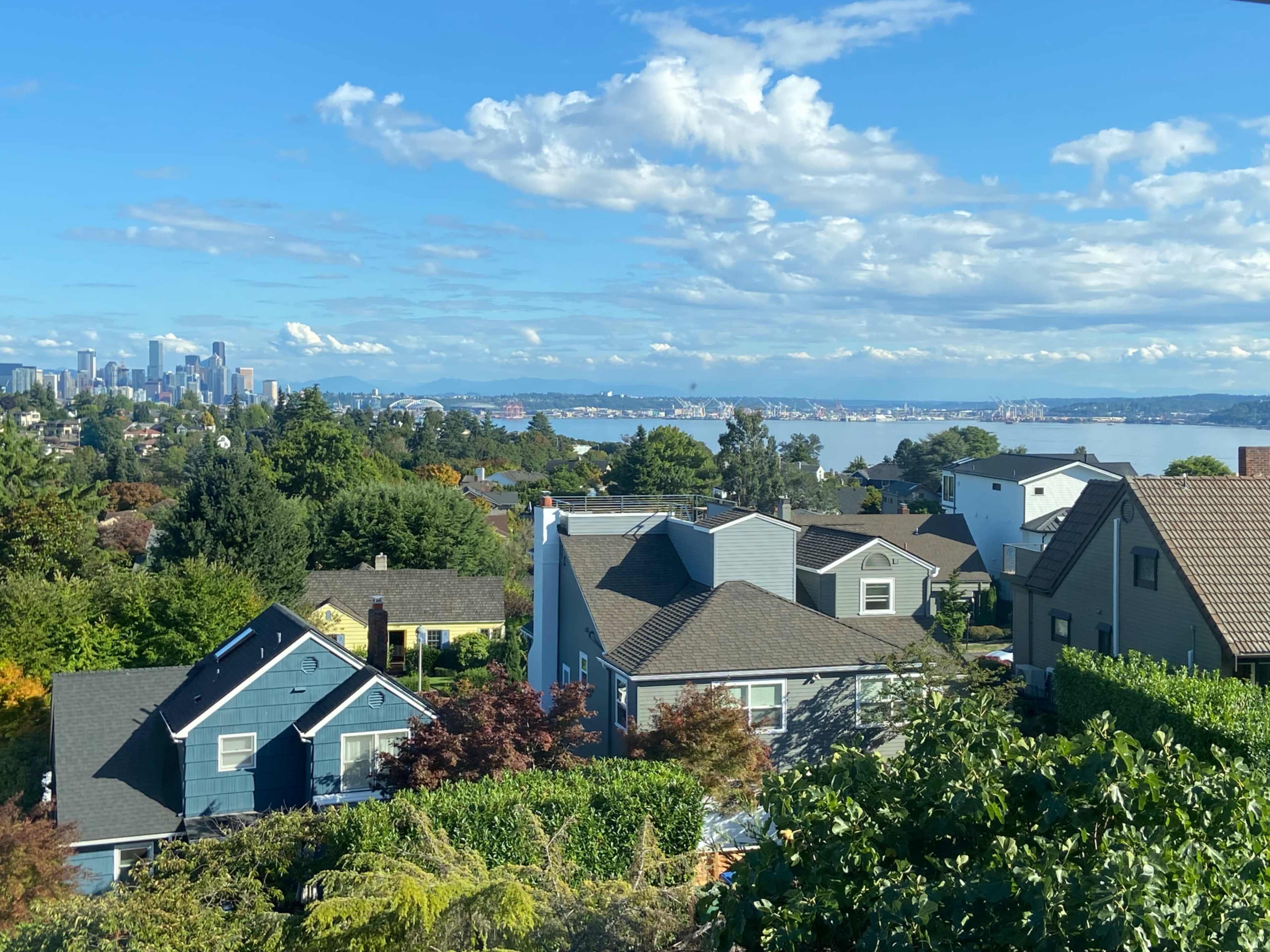 A view of a residential area with several houses, trees, and a body of water in the background, alongside a skyline of tall buildings under a blue sky.