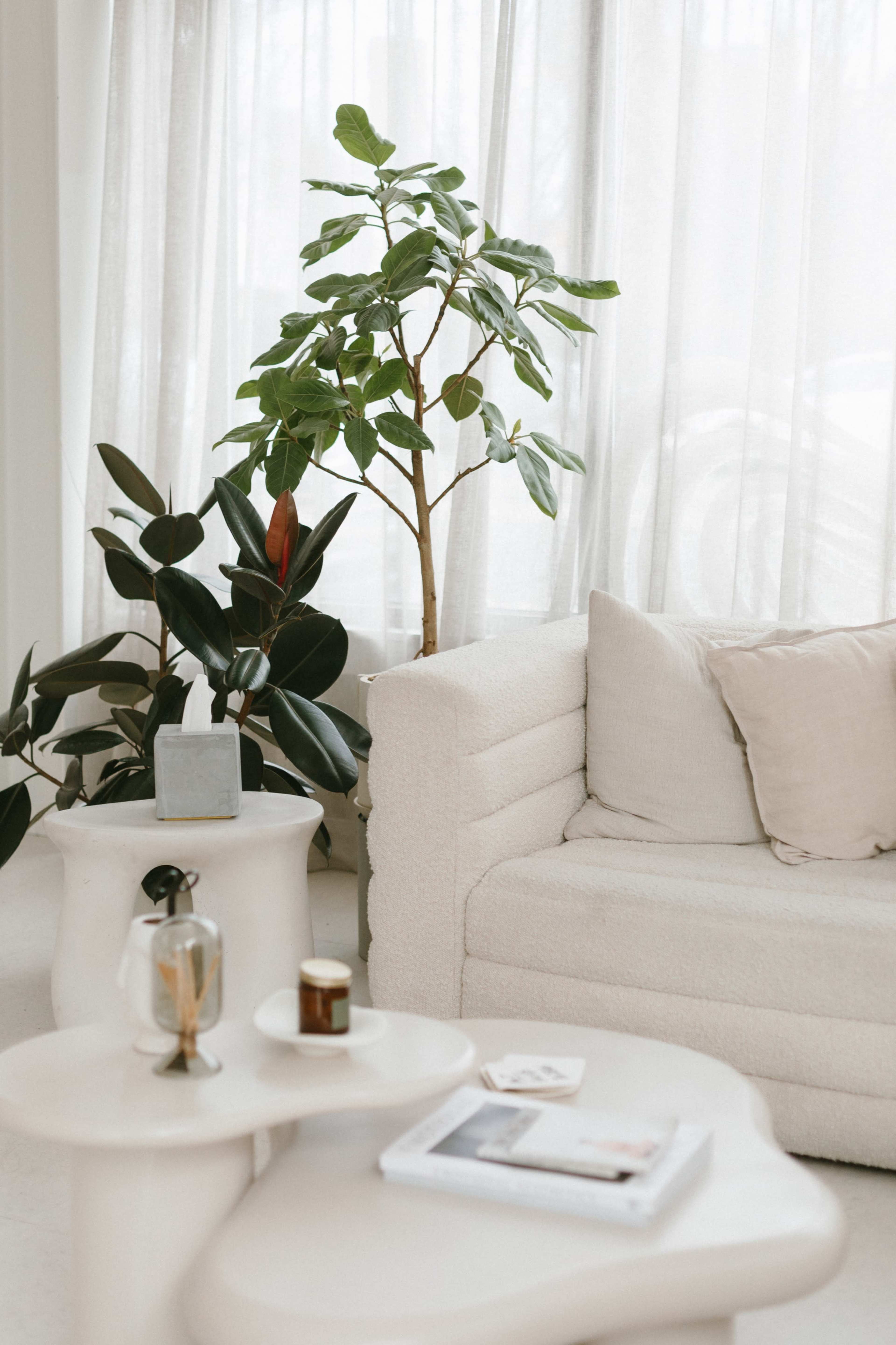 A cozy living room features a light-colored sofa, small tables, a cup, and a plant beside large sheer curtains.