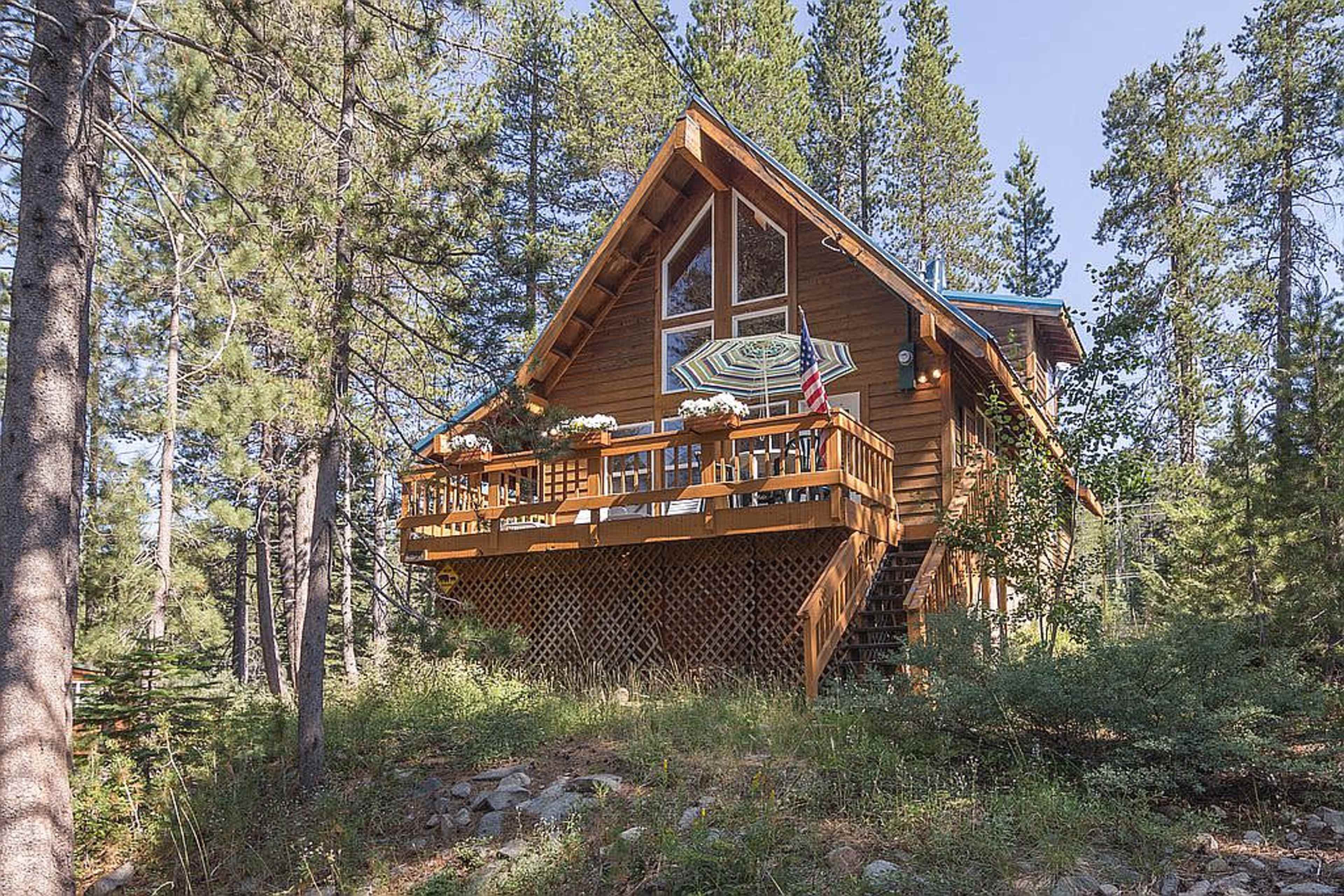 A wooden cabin with a steeply pitched roof and a front deck is surrounded by tall pine trees.