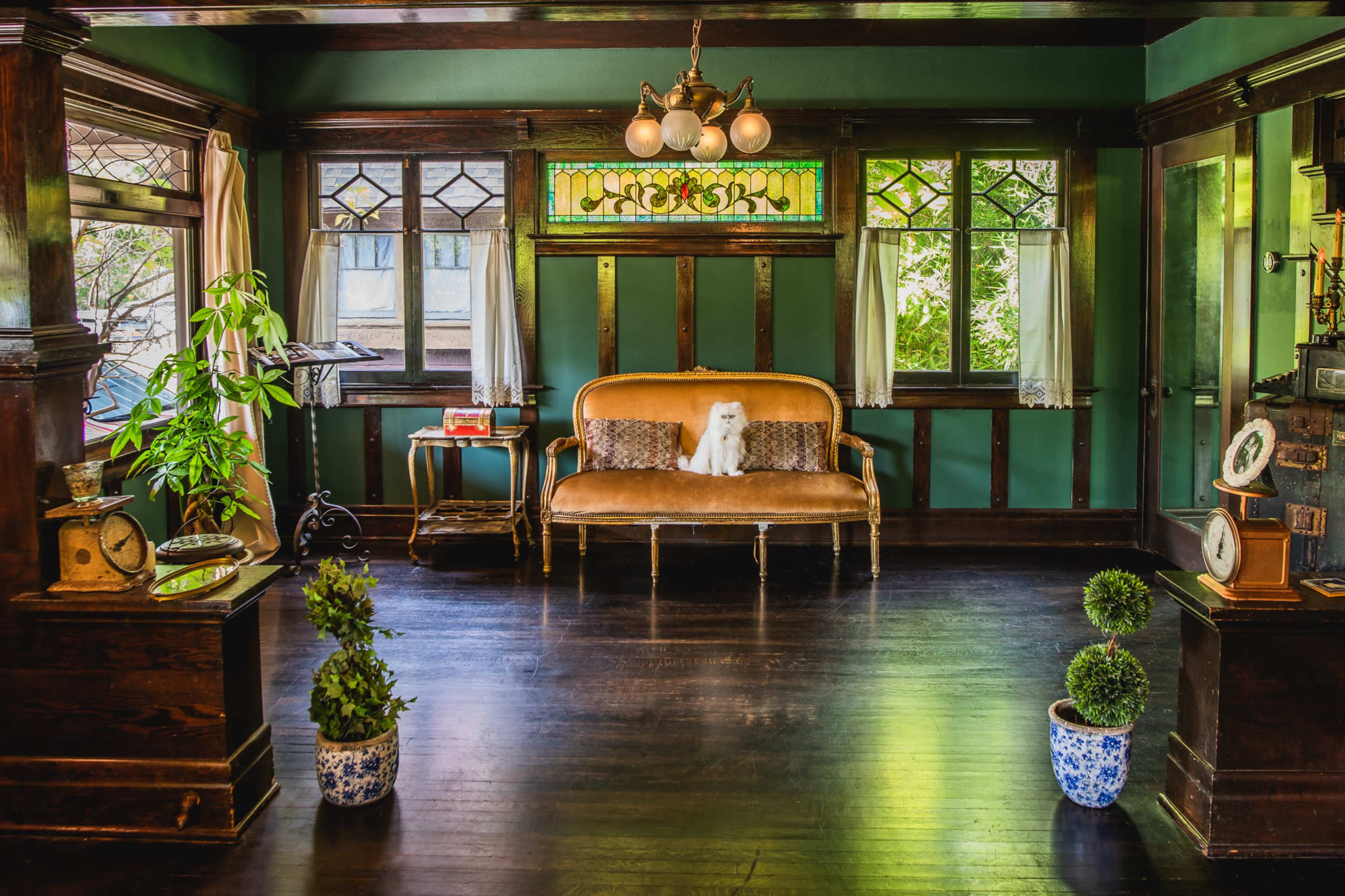 A cozy room features a vintage sofa with a small dog sitting on it, surrounded by decorative plants and antique furnishings.