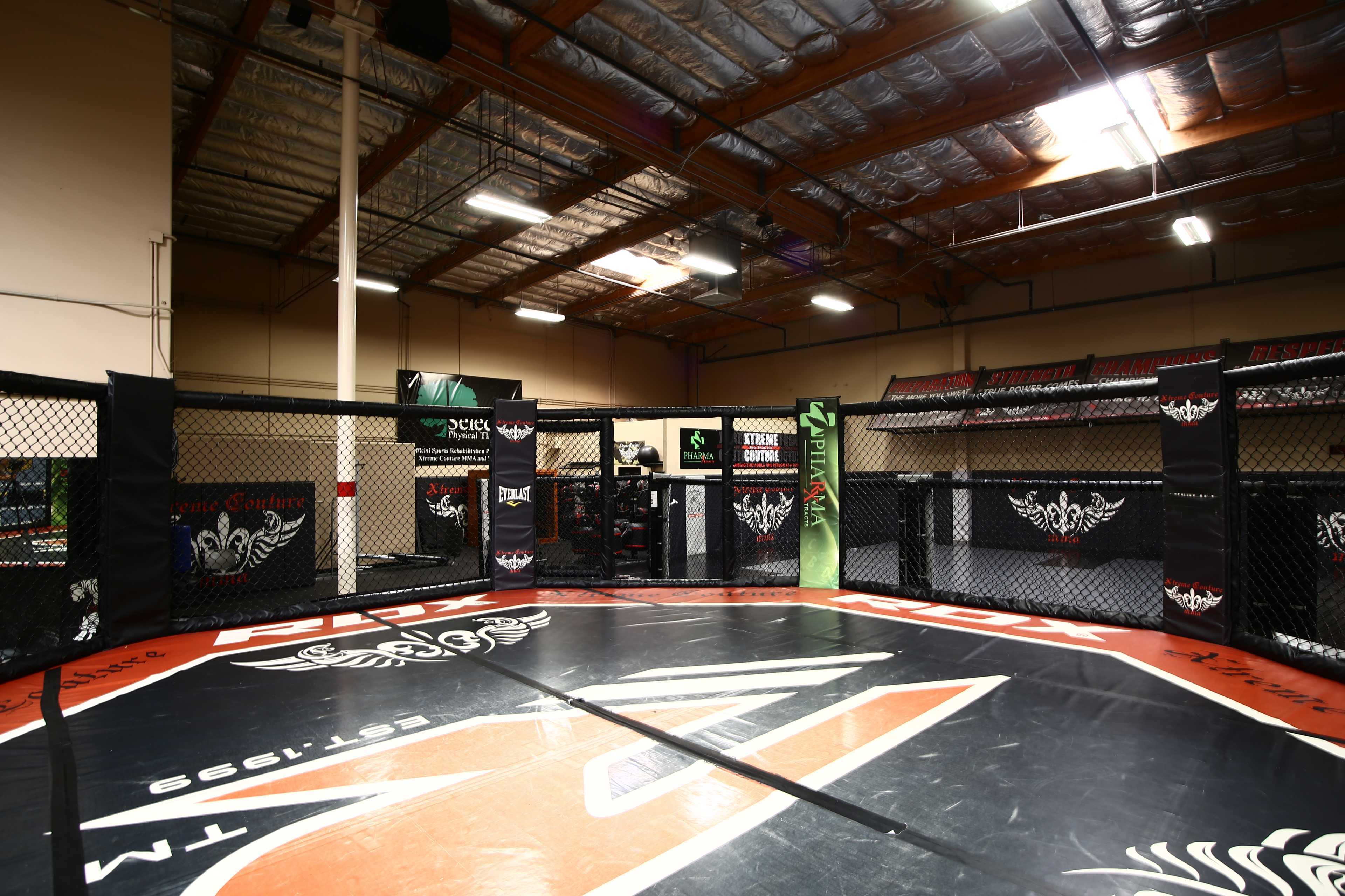 An empty MMA training cage within a gym, featuring a branded mat and surrounding black mesh fencing.
