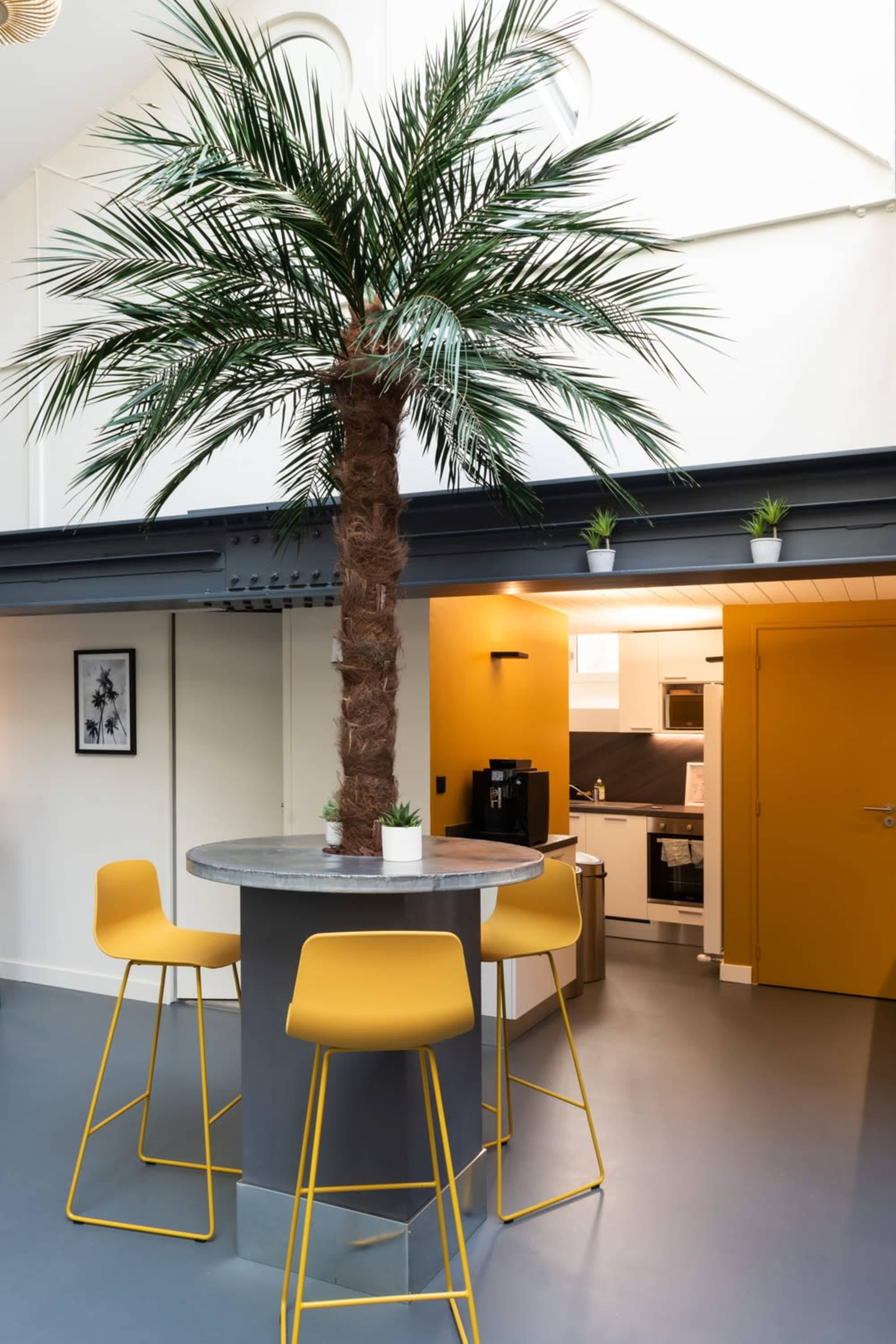 A tall palm tree stands at the center of a modern kitchen area, surrounded by four yellow bar stools and featuring a gray circular table.