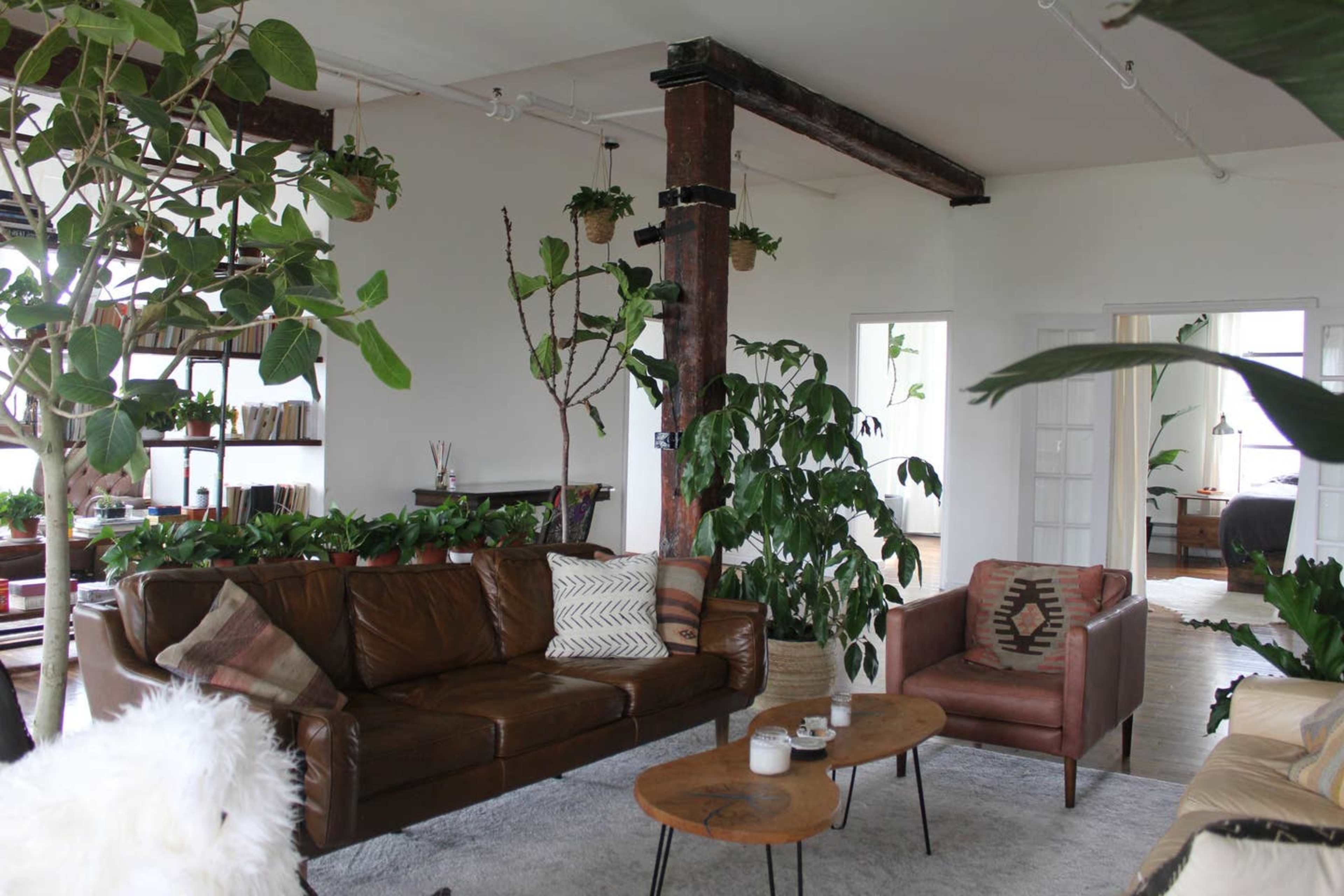 A spacious living area featuring a brown leather sofa, two coffee tables, and several indoor plants arranged throughout the room.