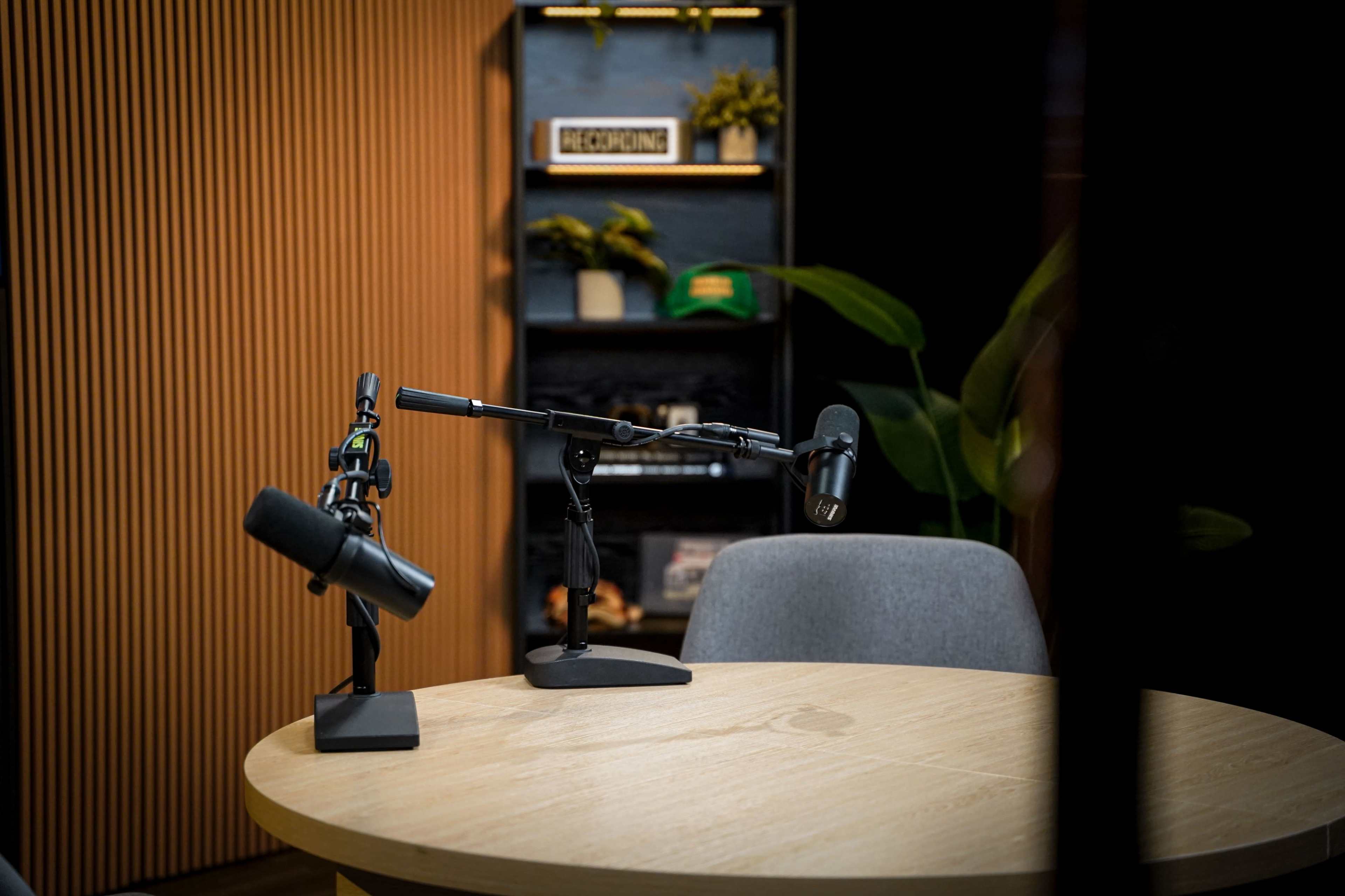 The image shows a recording setup with two microphones on adjustable stands placed on a round wooden table in a softly lit room decorated with plants and a shelf.