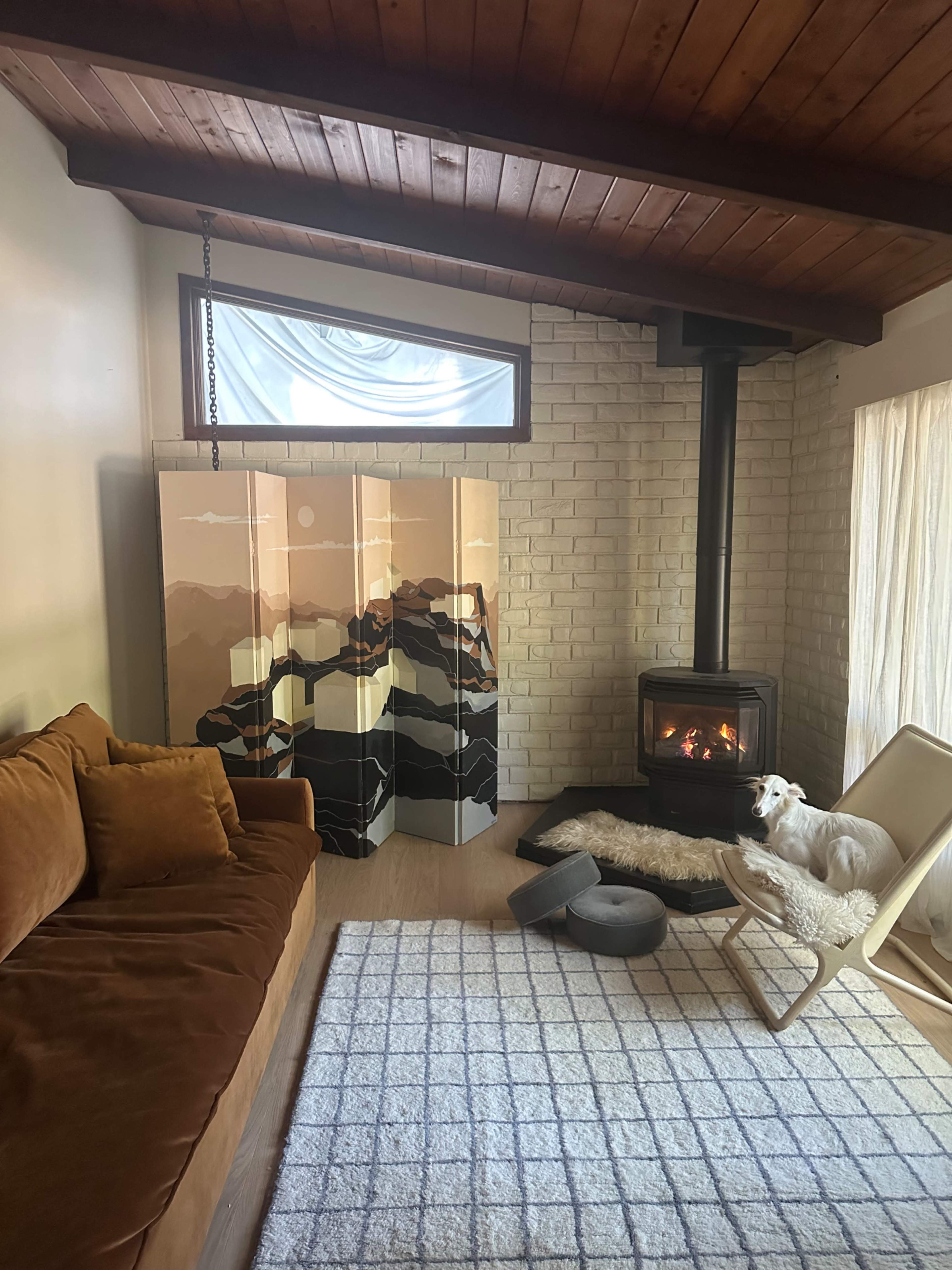 The image shows a cozy living room with a brown sofa, a modern fireplace, a patterned rug, and a small dog resting on a dog bed.