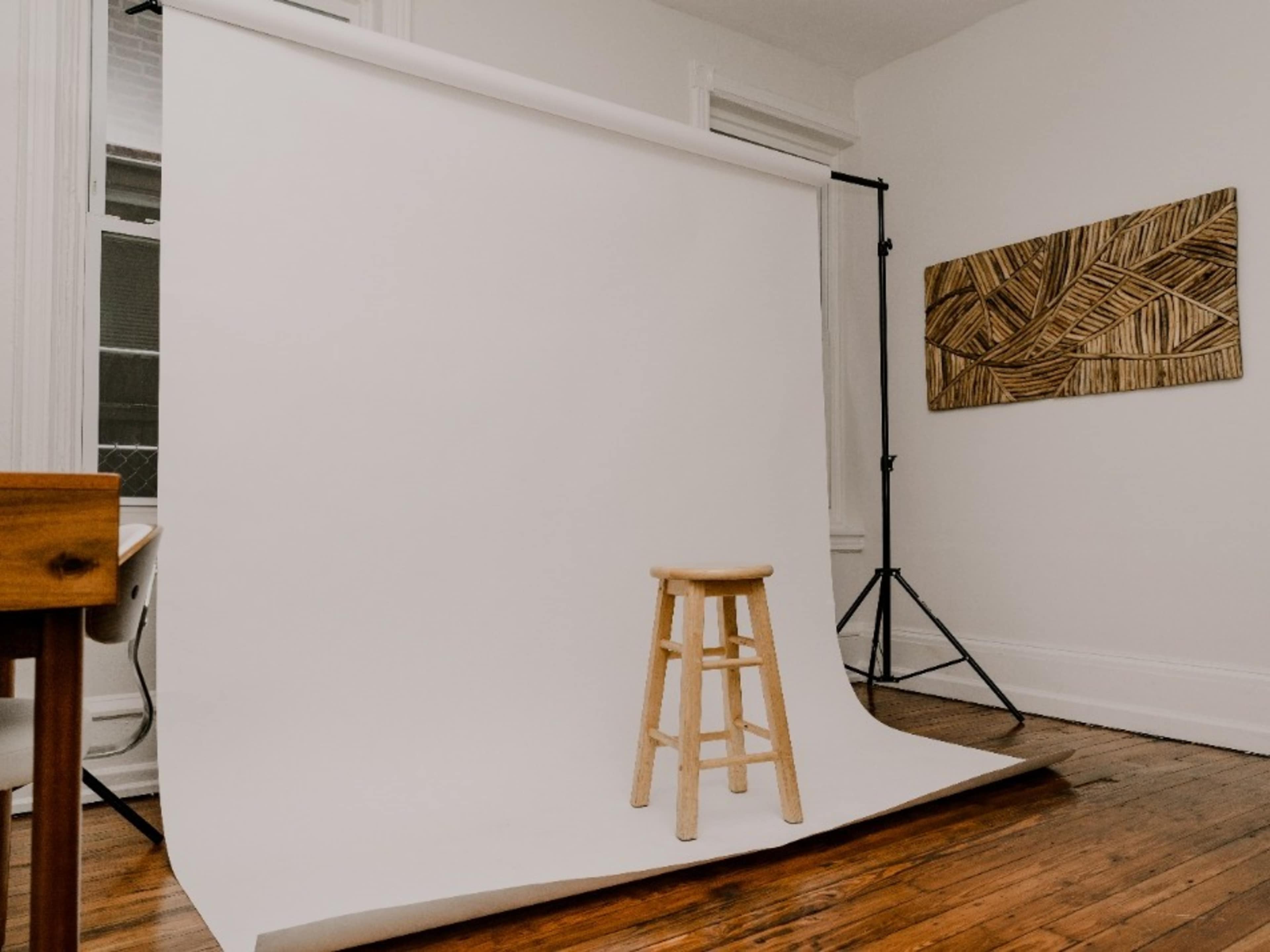 Seamless Backdrop & Stand