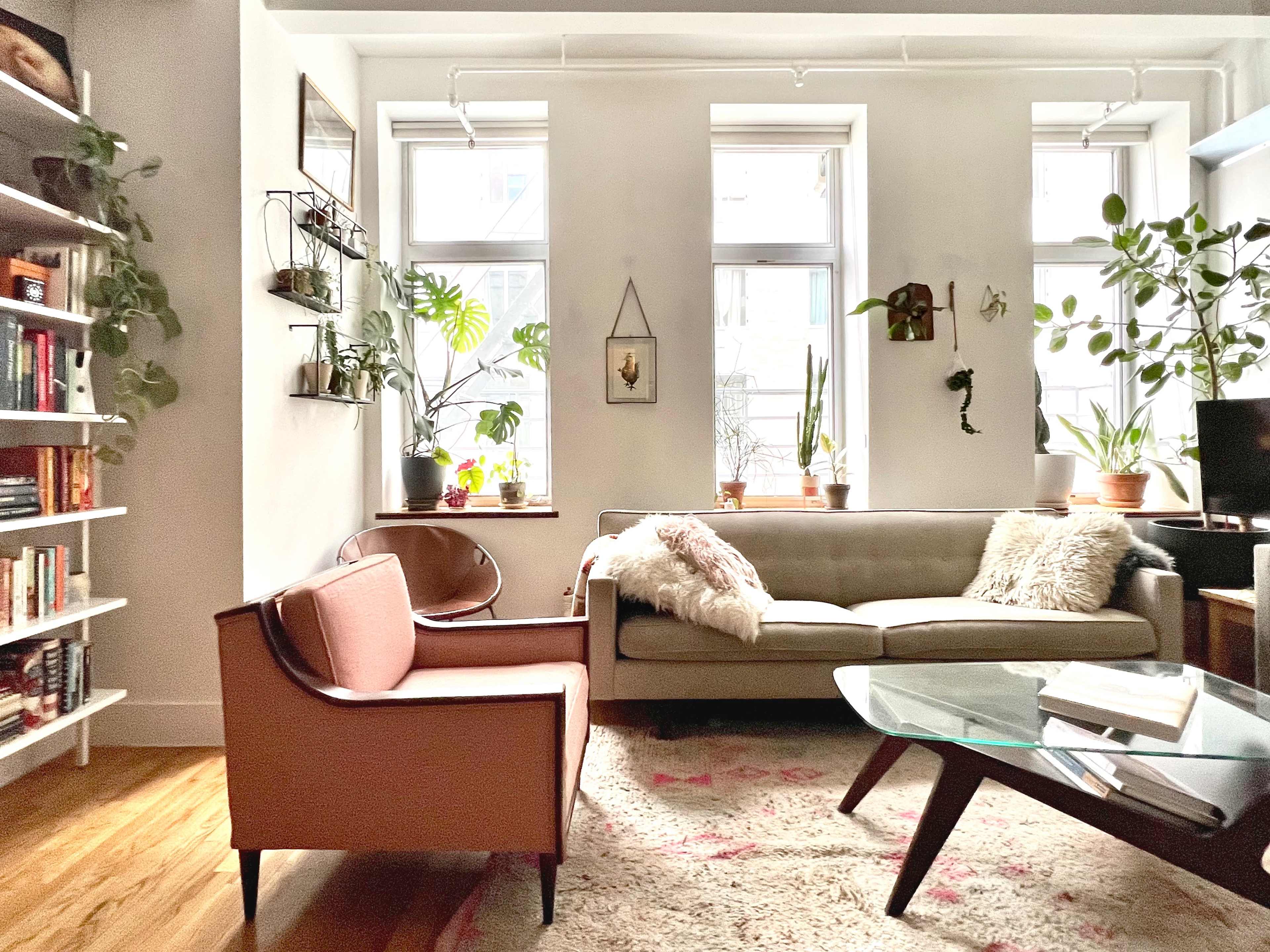 A minimalist living room with a beige sofa, a pink armchair, large windows, and several plants placed on shelves and the window sills.