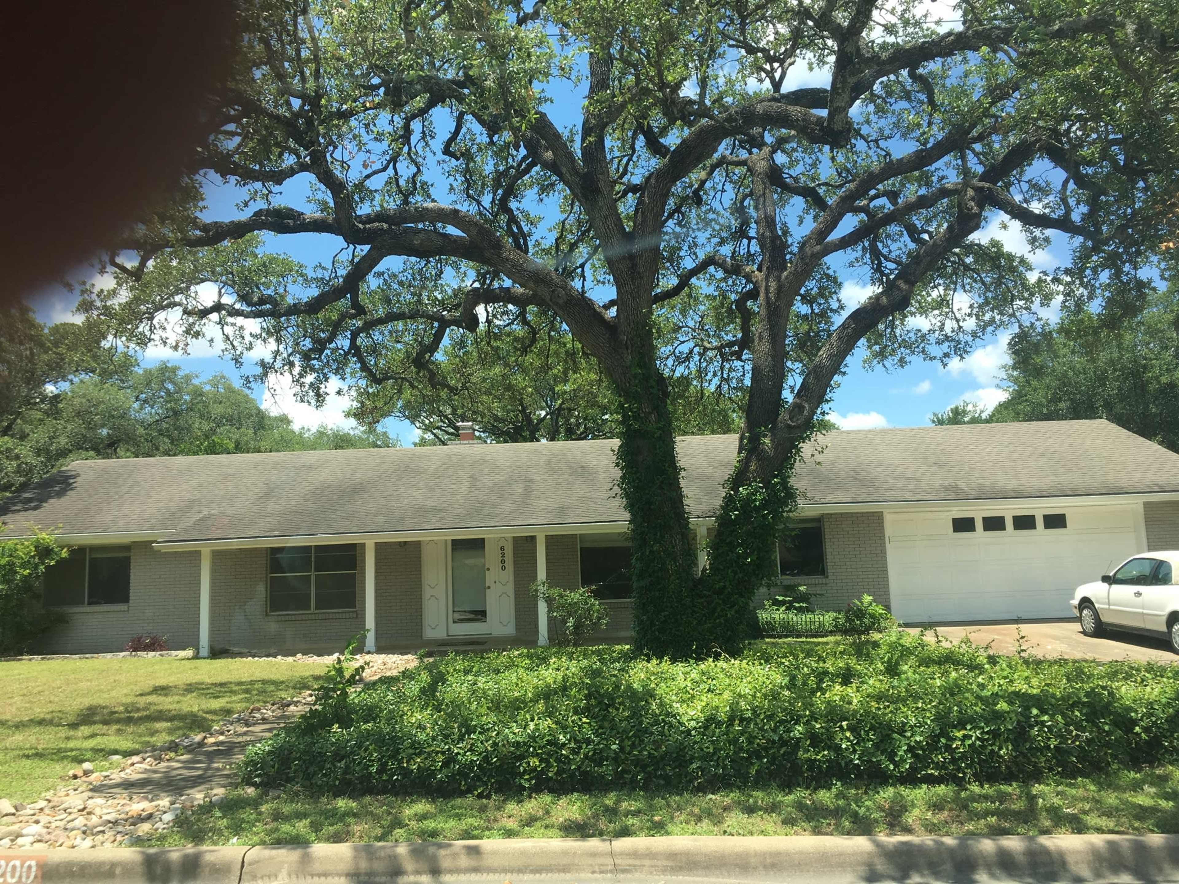 A single-story house with a large tree in the front yard is surrounded by low shrubs and a driveway.