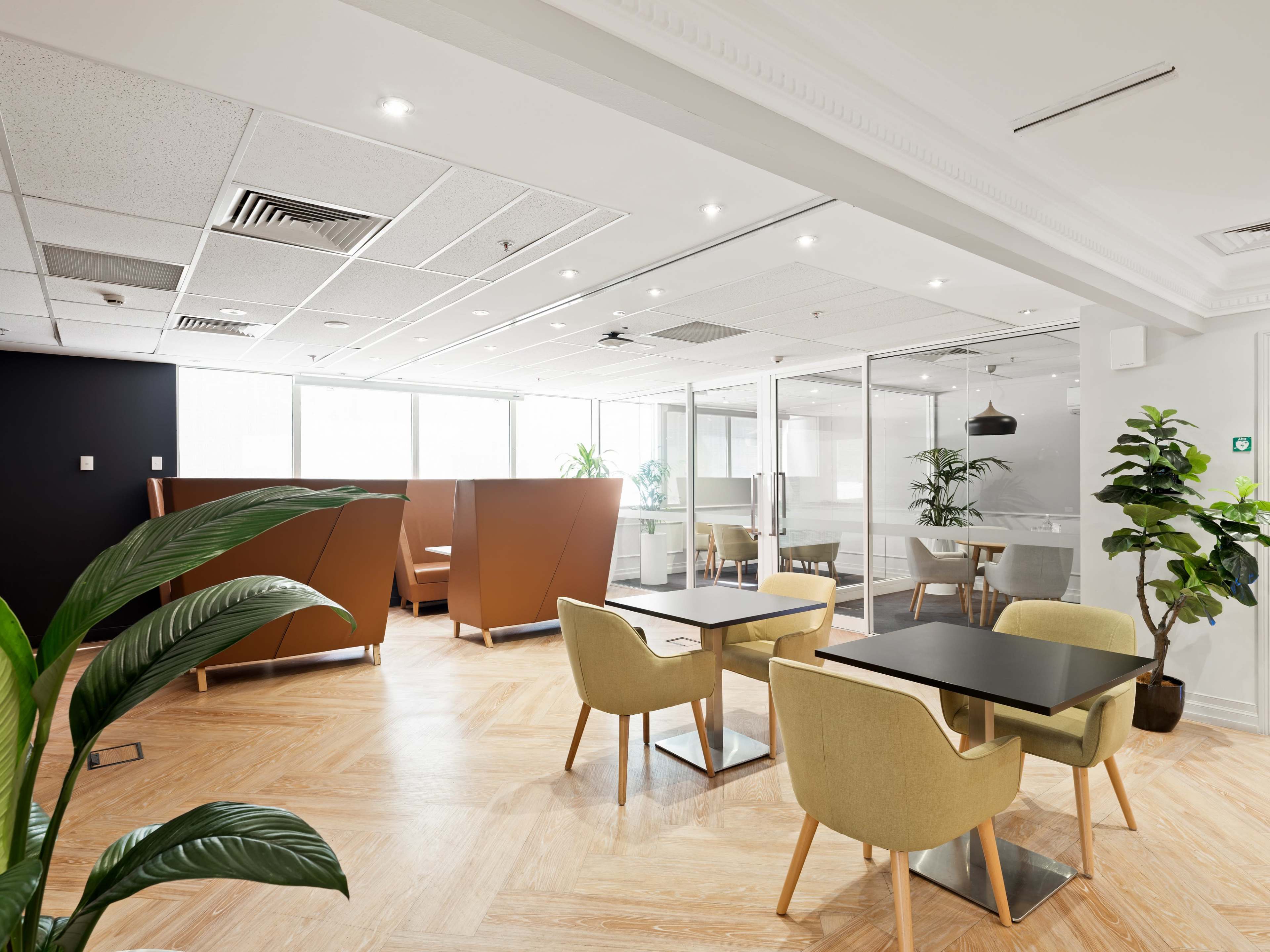 The Honeyeater Meeting Room at Liberty North Sydney Image in North Sydney, North Sydney, NSW