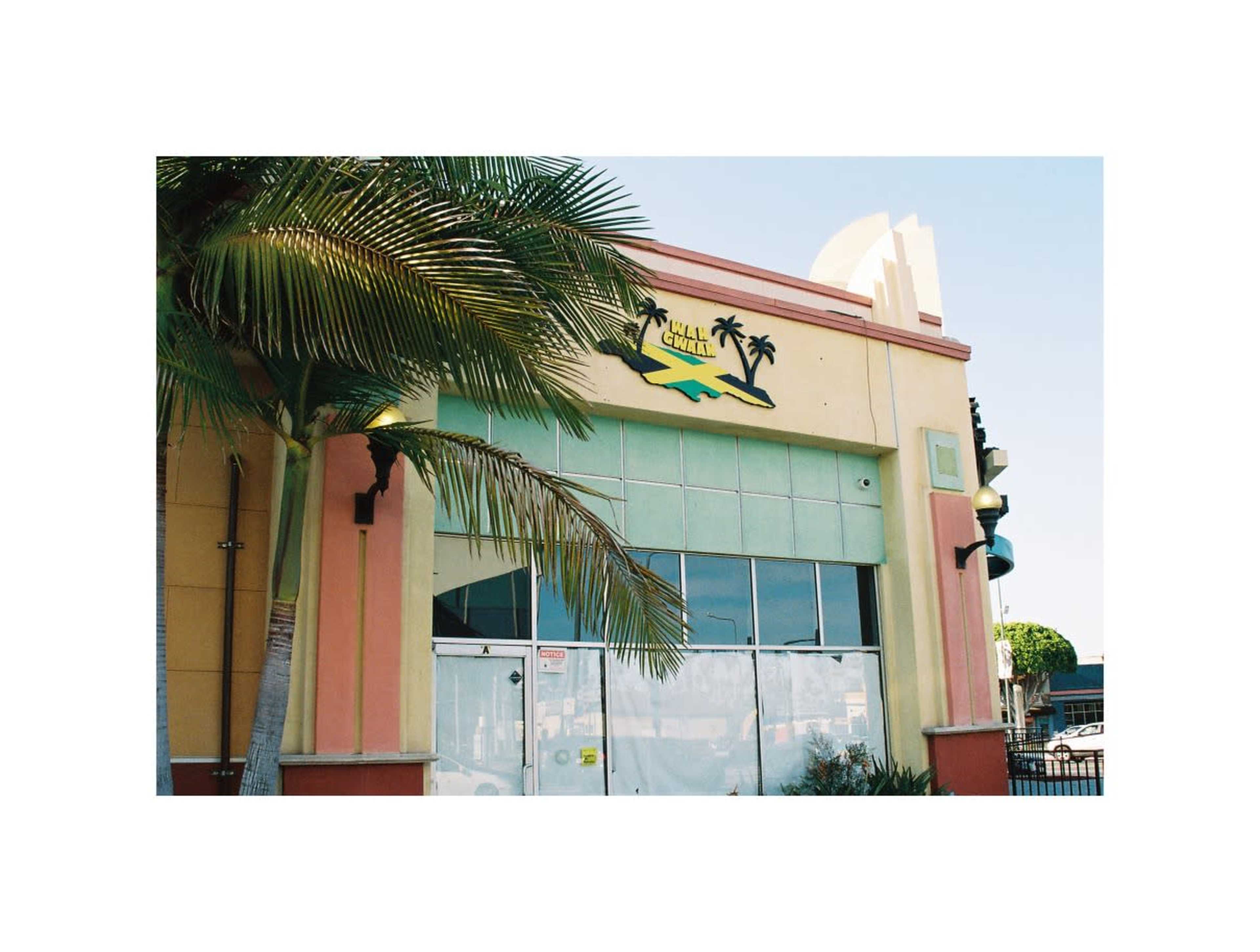 The image shows a brightly colored building with palm trees and large windows, featuring a sign with tropical motifs.