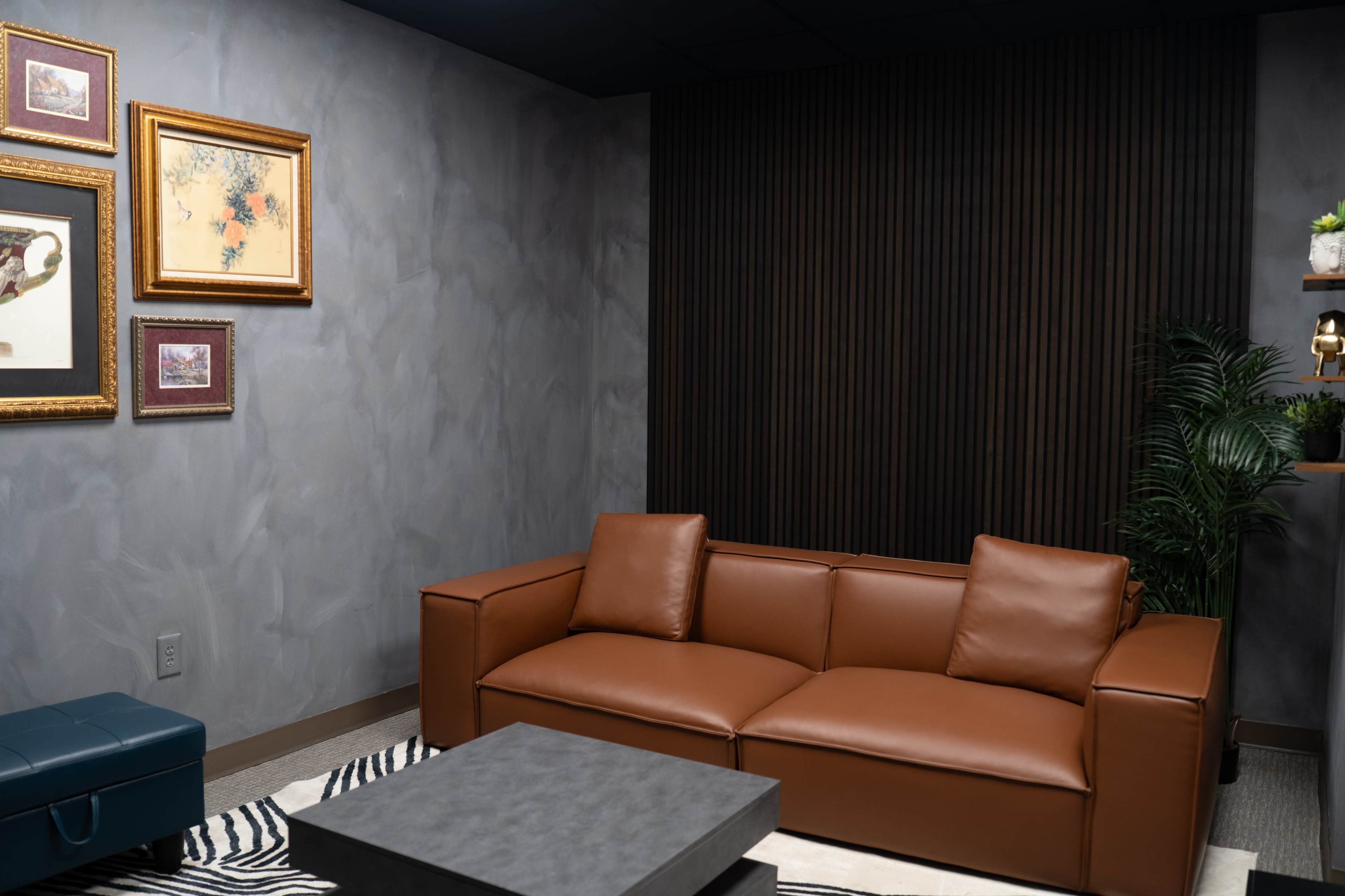 Vintage Lounge Set (Podcast/Photo/Video) Image in Gwinnett Village, Norcross, GA