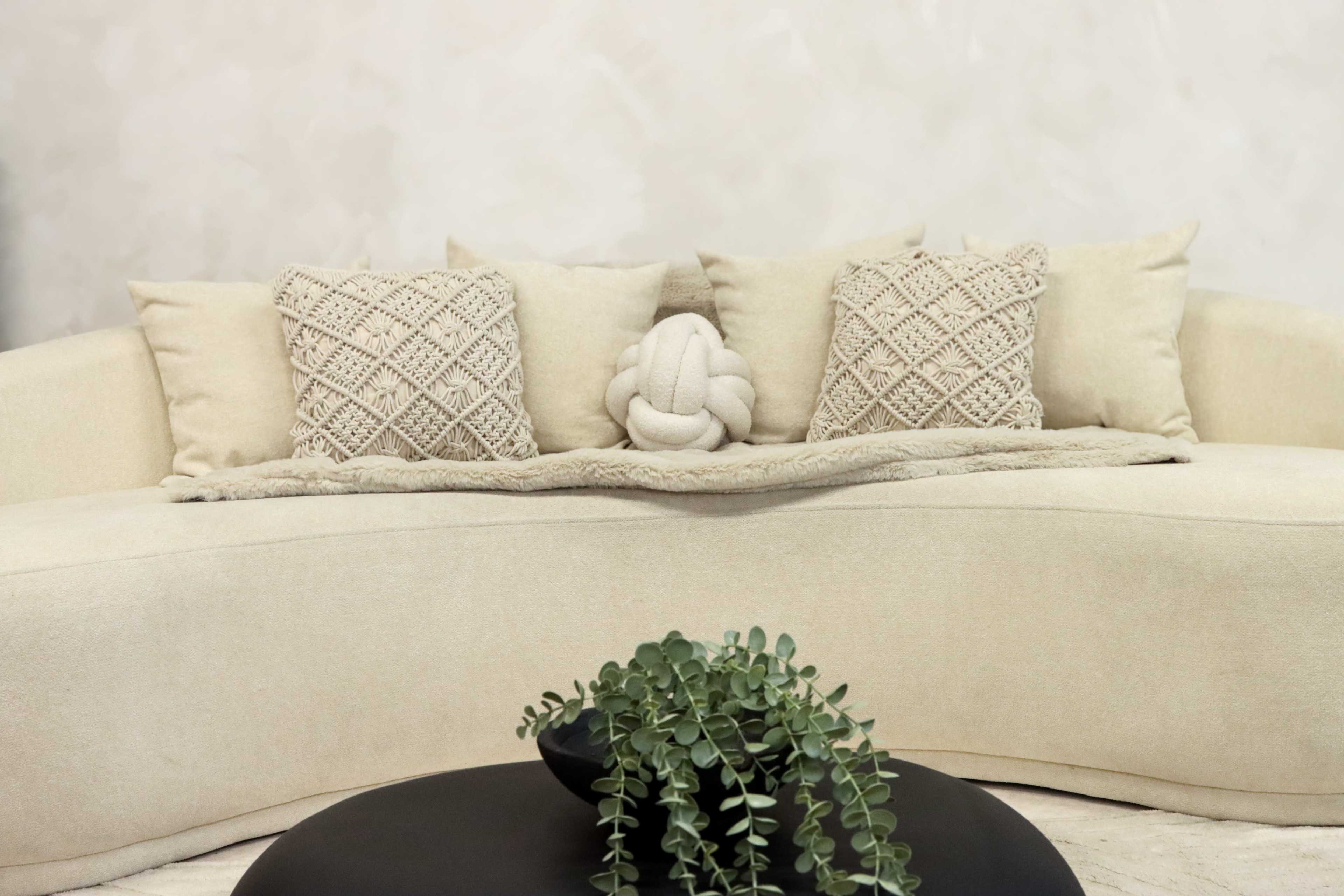 A curved, beige sofa is adorned with decorative pillows and a textured throw, while a small plant sits on a round black coffee table in front.