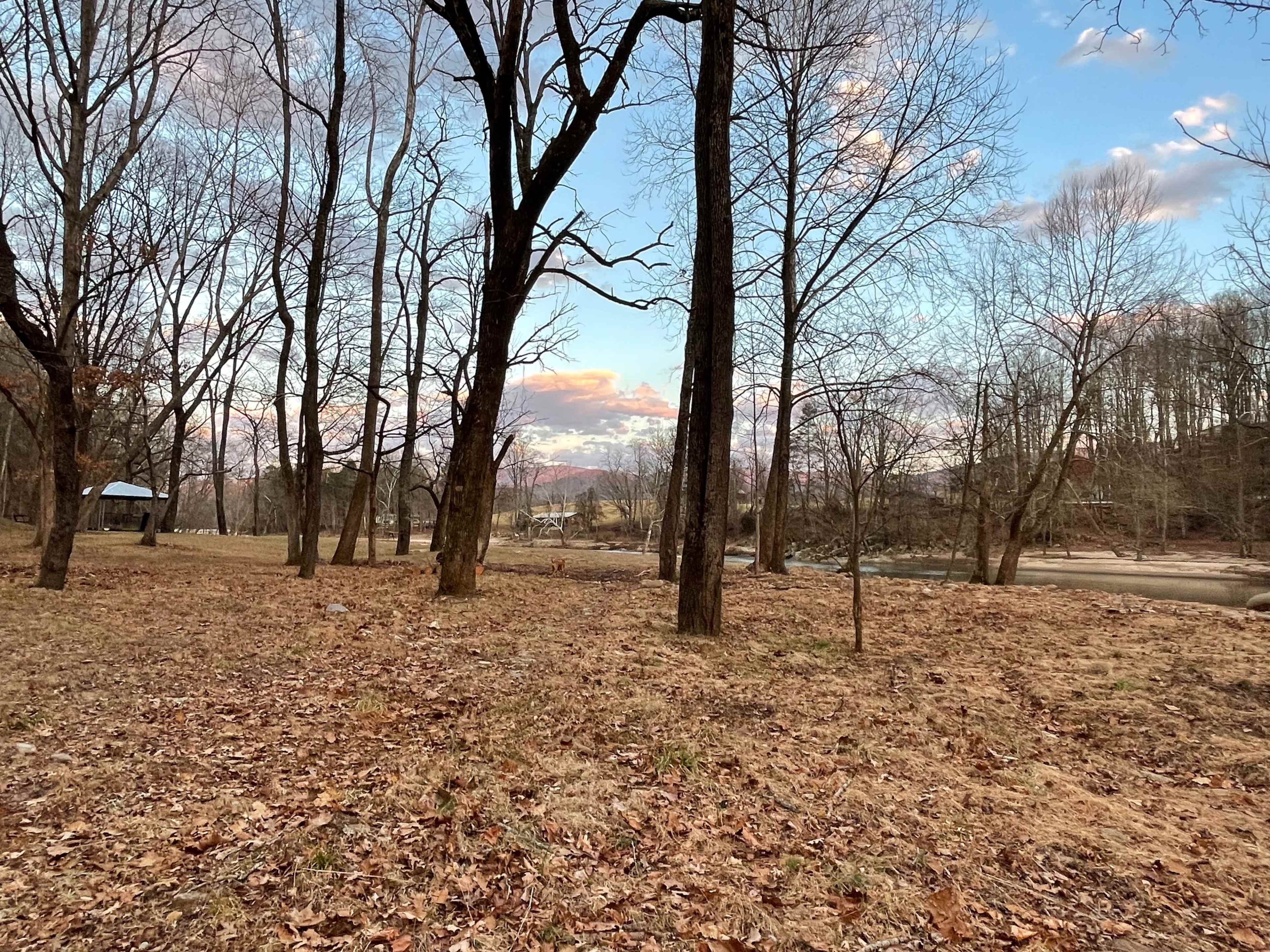 The scene depicts a wooded area with bare trees and a grassy landscape beside a river under a blue sky with scattered clouds.