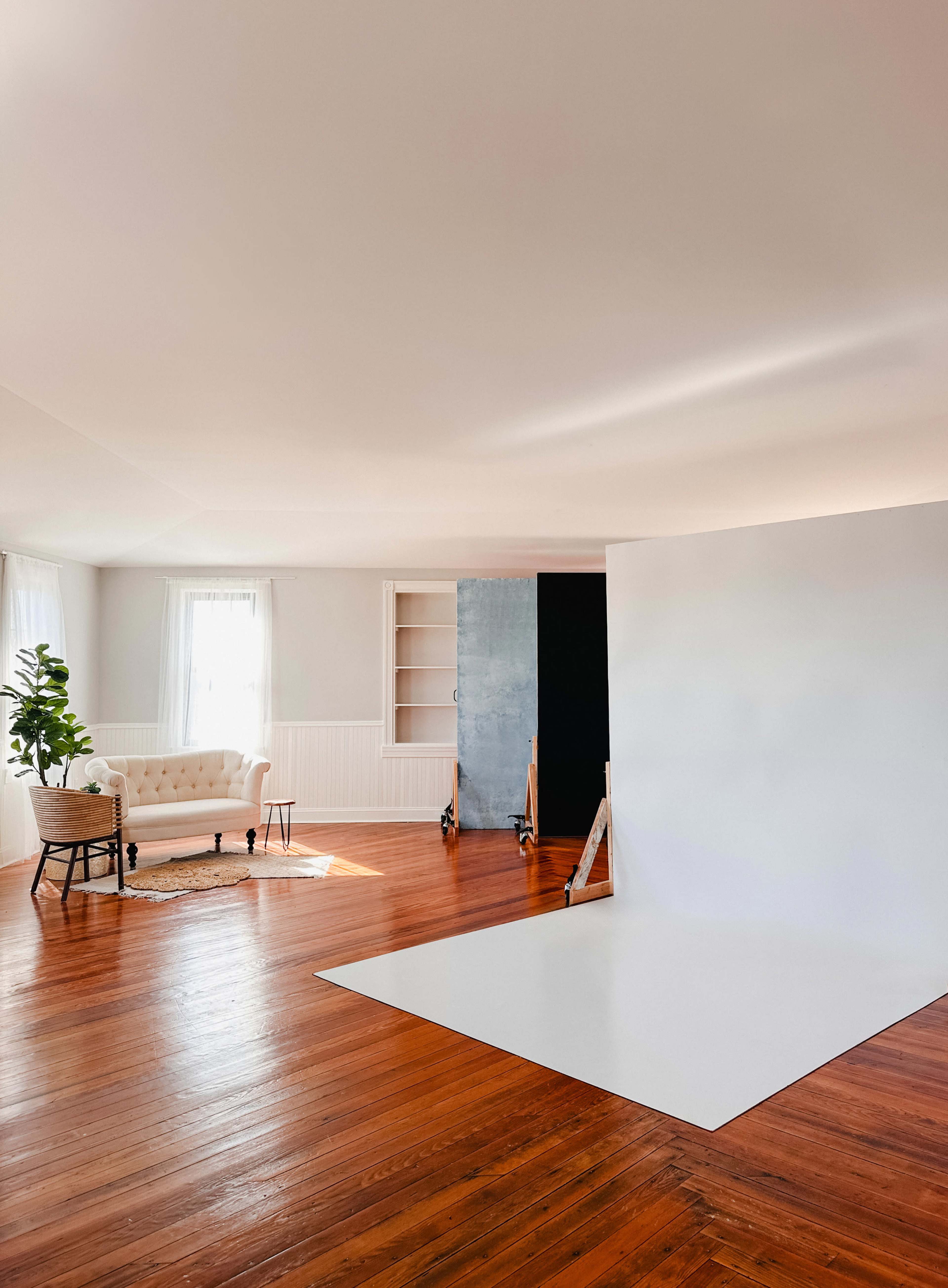 A bright, uncluttered studio space features a white backdrop, a wooden floor, a vintage sofa, and a tall plant.