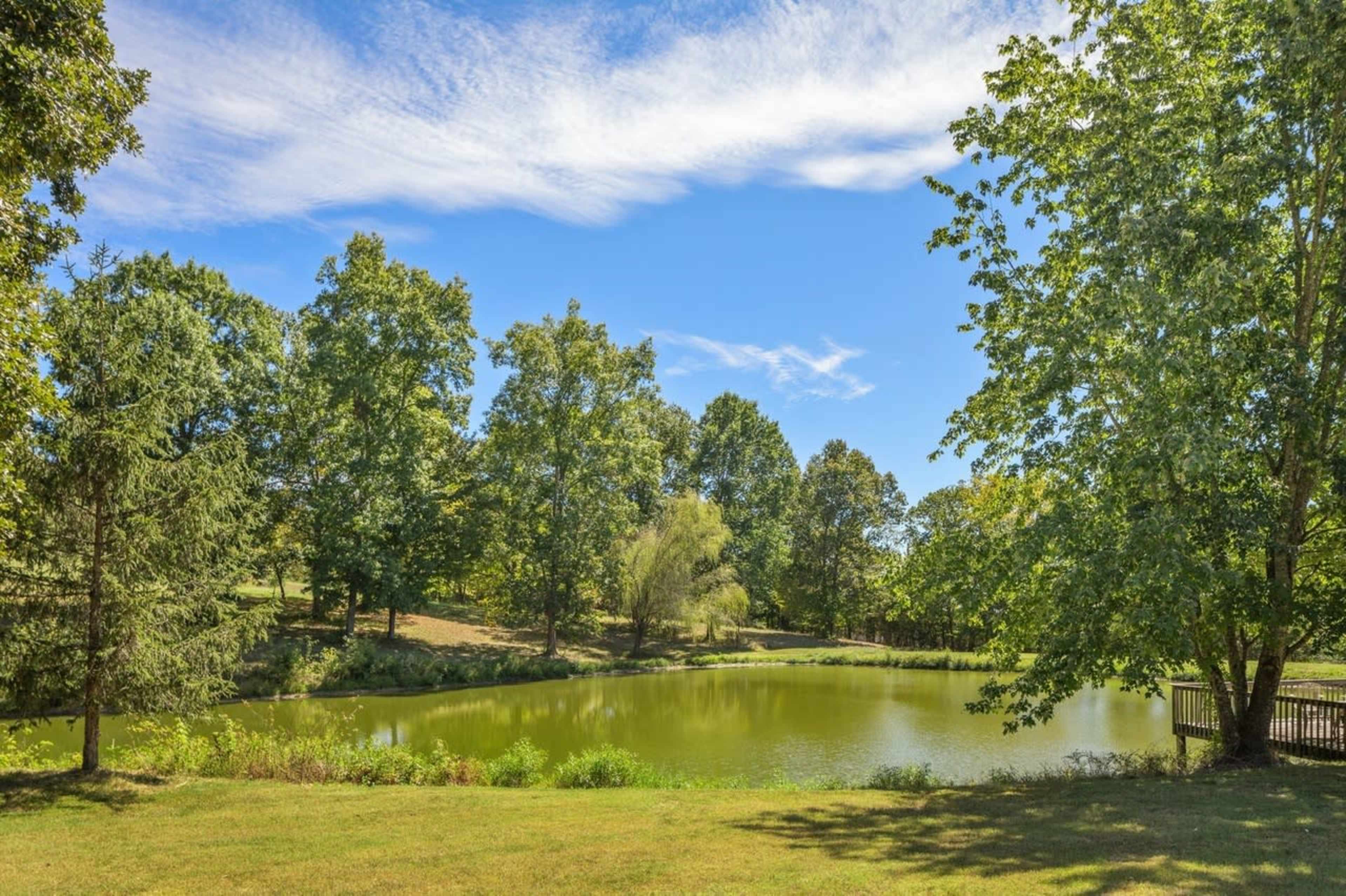 A calm, green pond is surrounded by trees under a clear blue sky with scattered clouds.