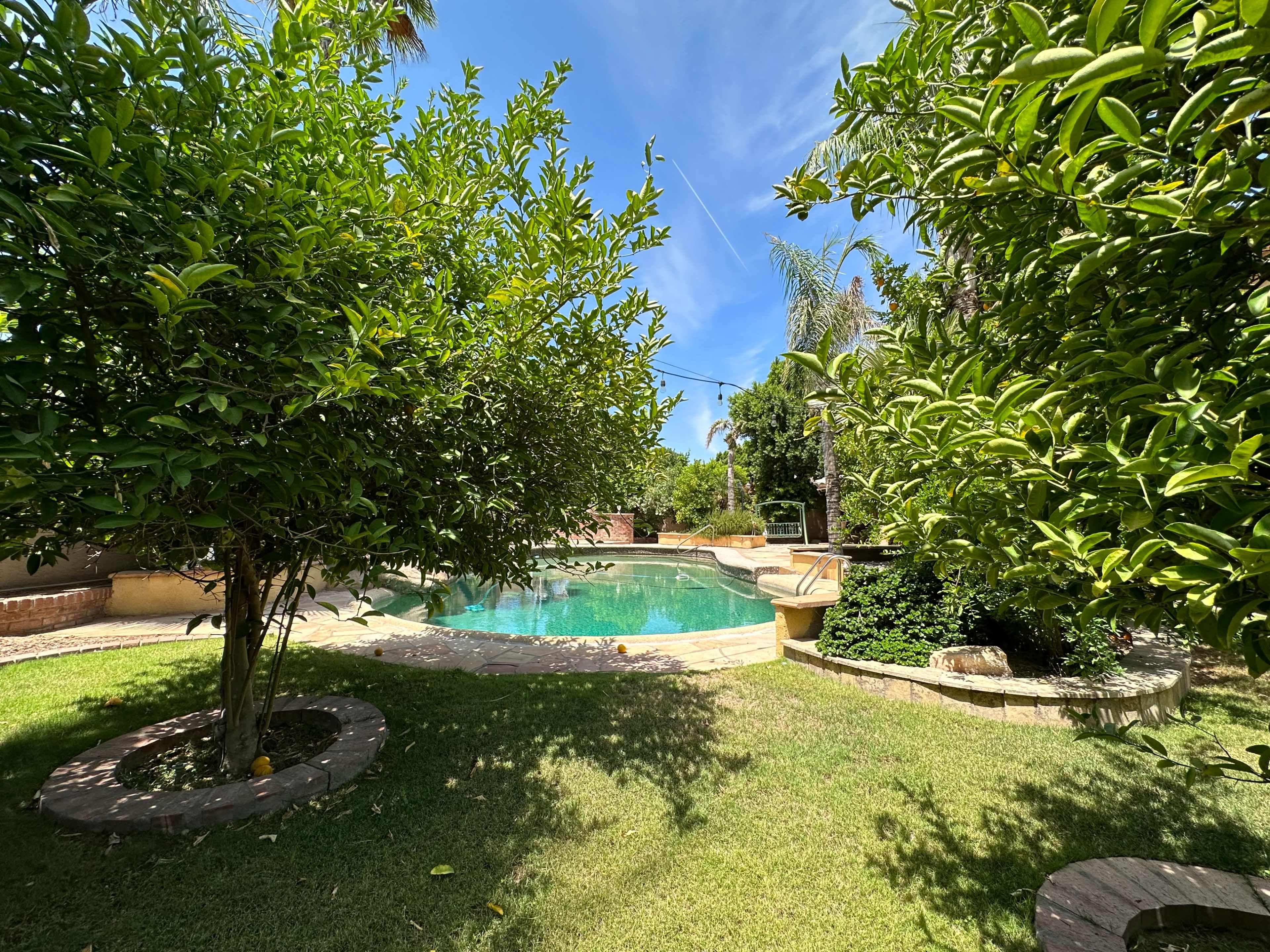 A lush backyard features a swimming pool surrounded by greenery and palm trees under a clear blue sky.