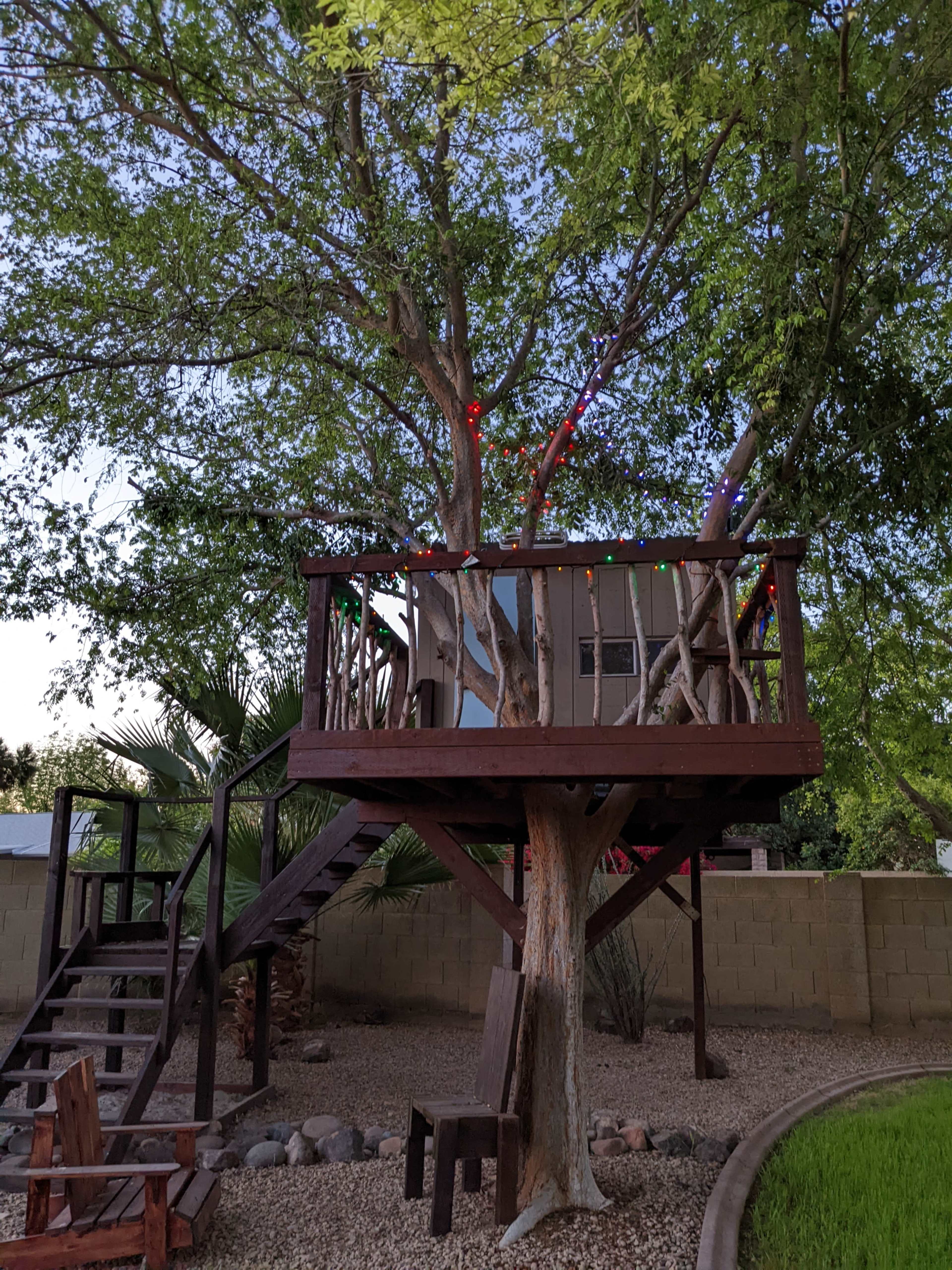 A wooden treehouse with colorful lights is built in a large tree, surrounded by a gravel area and a few plants.
