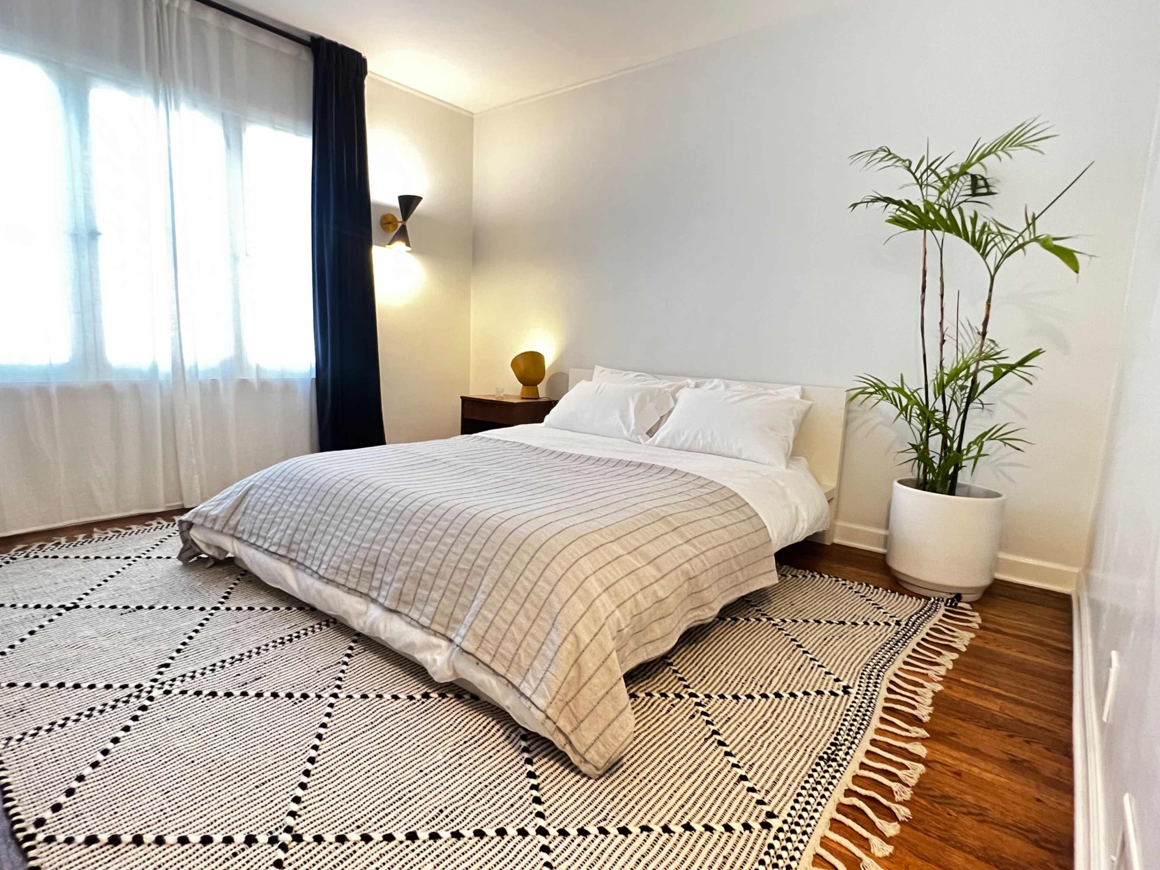 A neatly made bed with a checkered duvet is positioned on a patterned rug in a well-lit room featuring a potted plant and a side table.