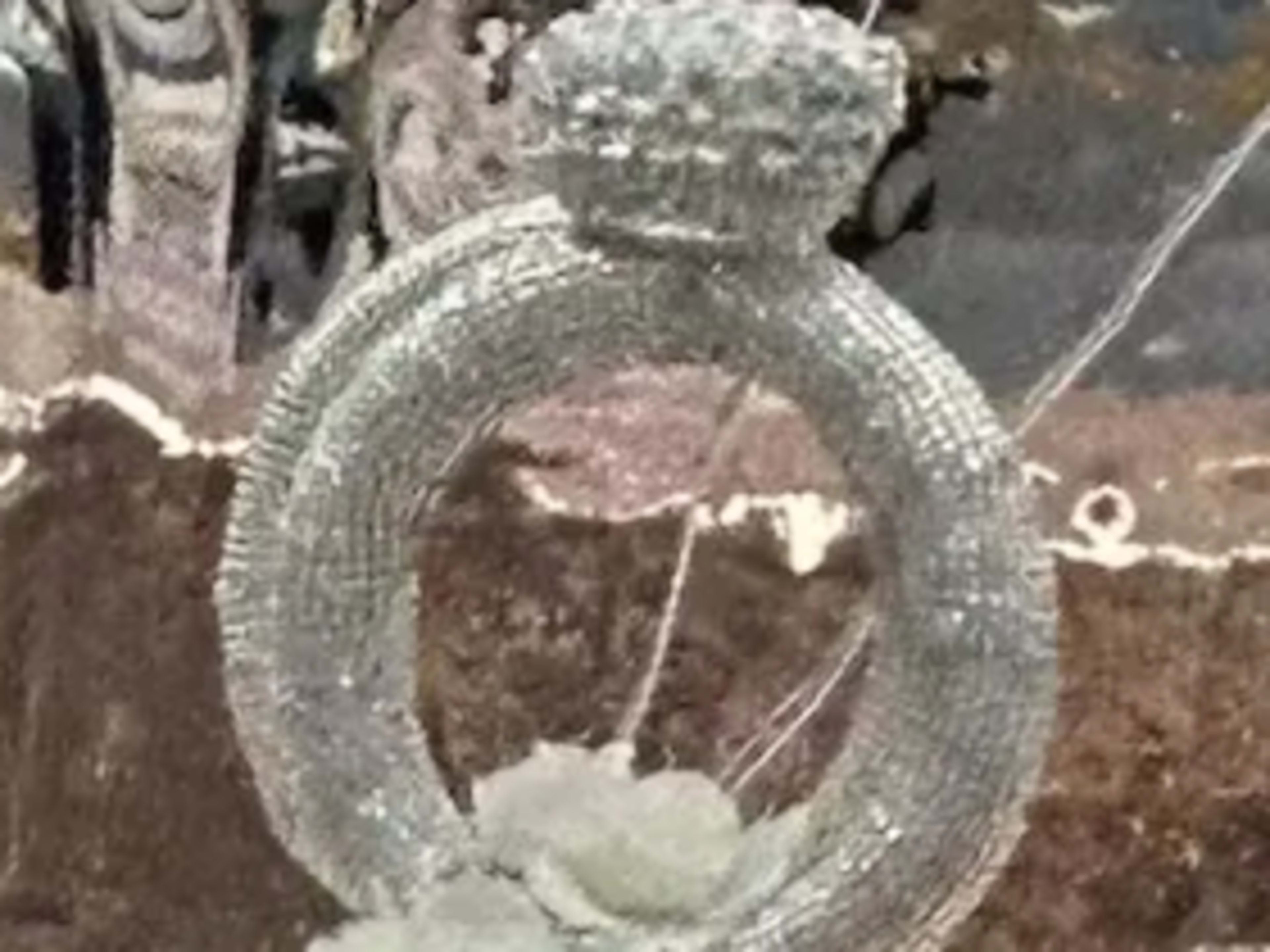 Ring centerpiece
