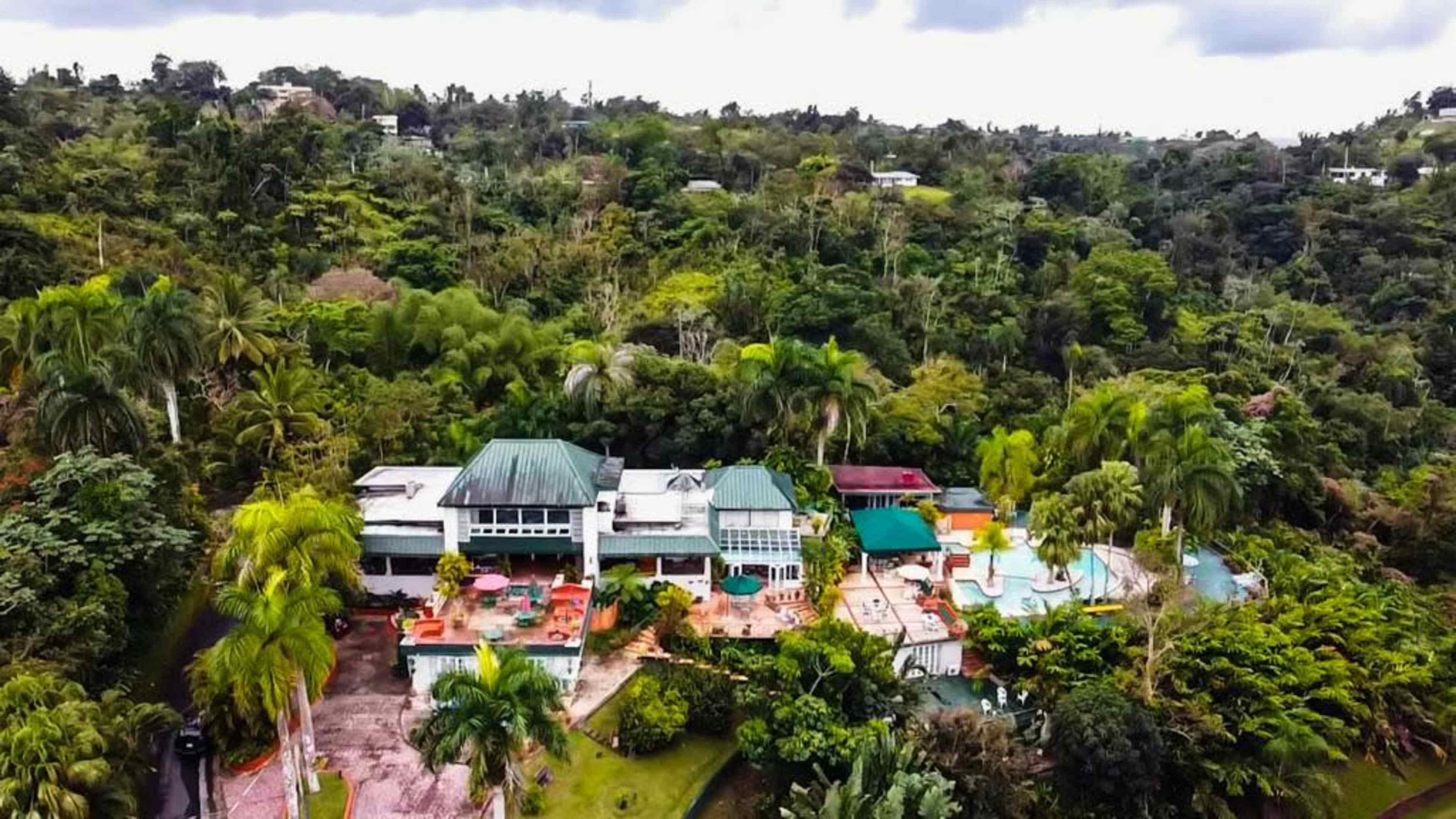 A large house surrounded by lush greenery and a swimming pool area.