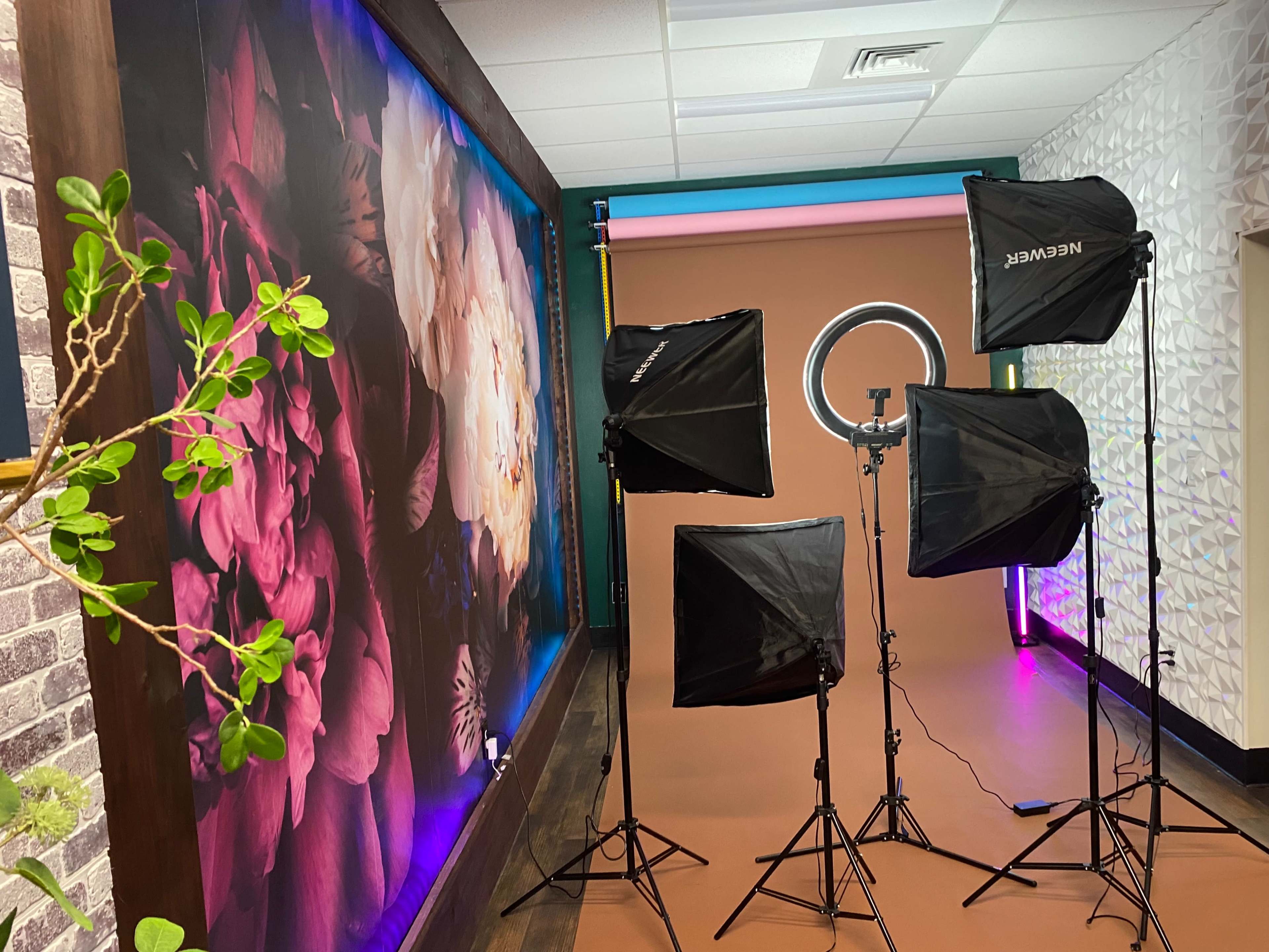 The image shows a photography studio setup with multiple lighting equipment and a backdrop featuring a large floral mural.
