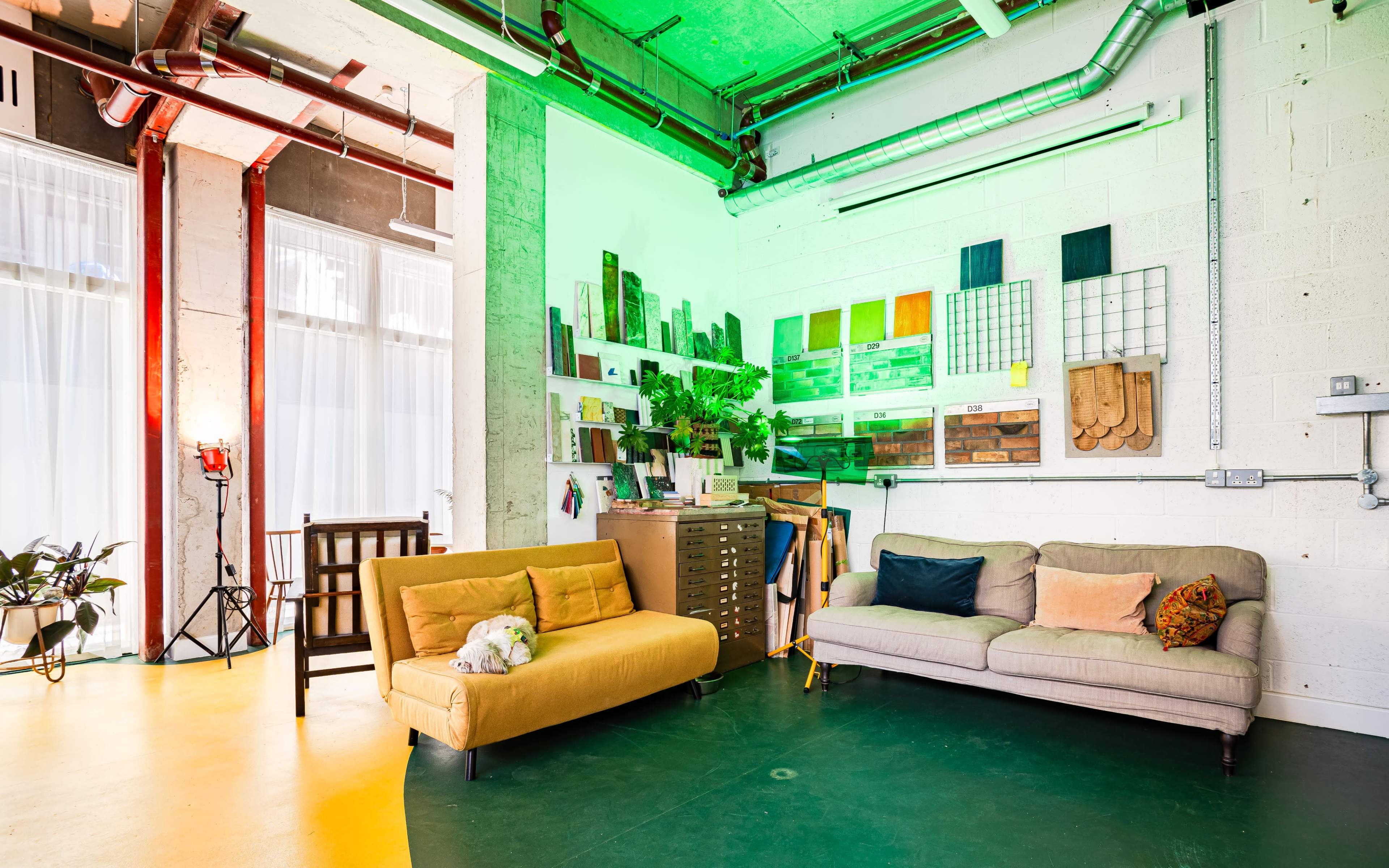 The image shows a modern, bright workspace featuring a yellow sofa, a gray couch, shelves with various materials, and plants arranged in a well-lit corner with industrial elements.