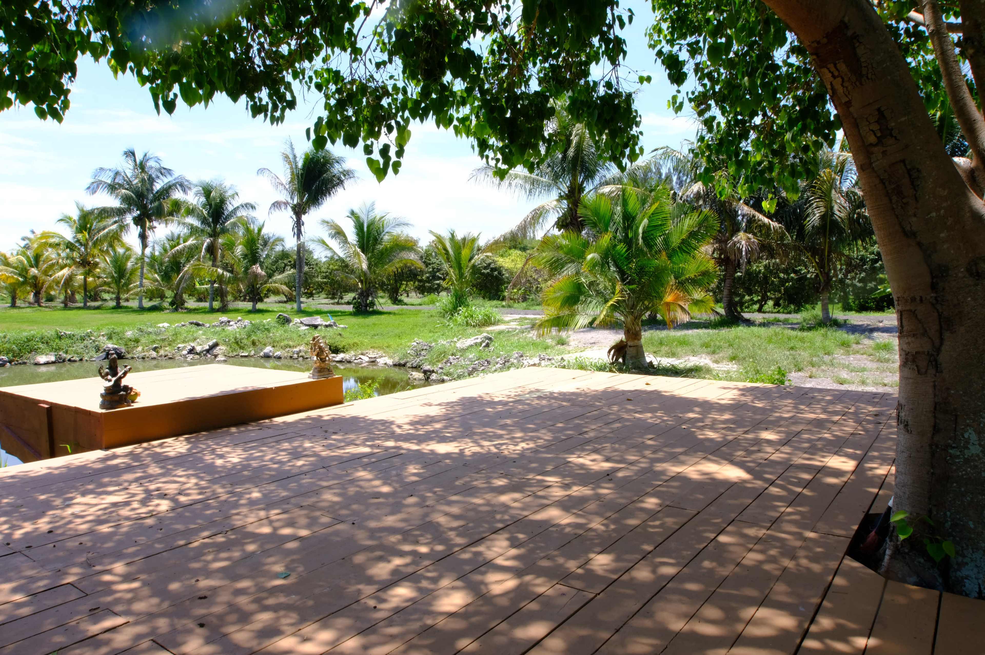 A wooden deck is shaded by a tree, overlooking a tropical landscape with palm trees and a small body of water.