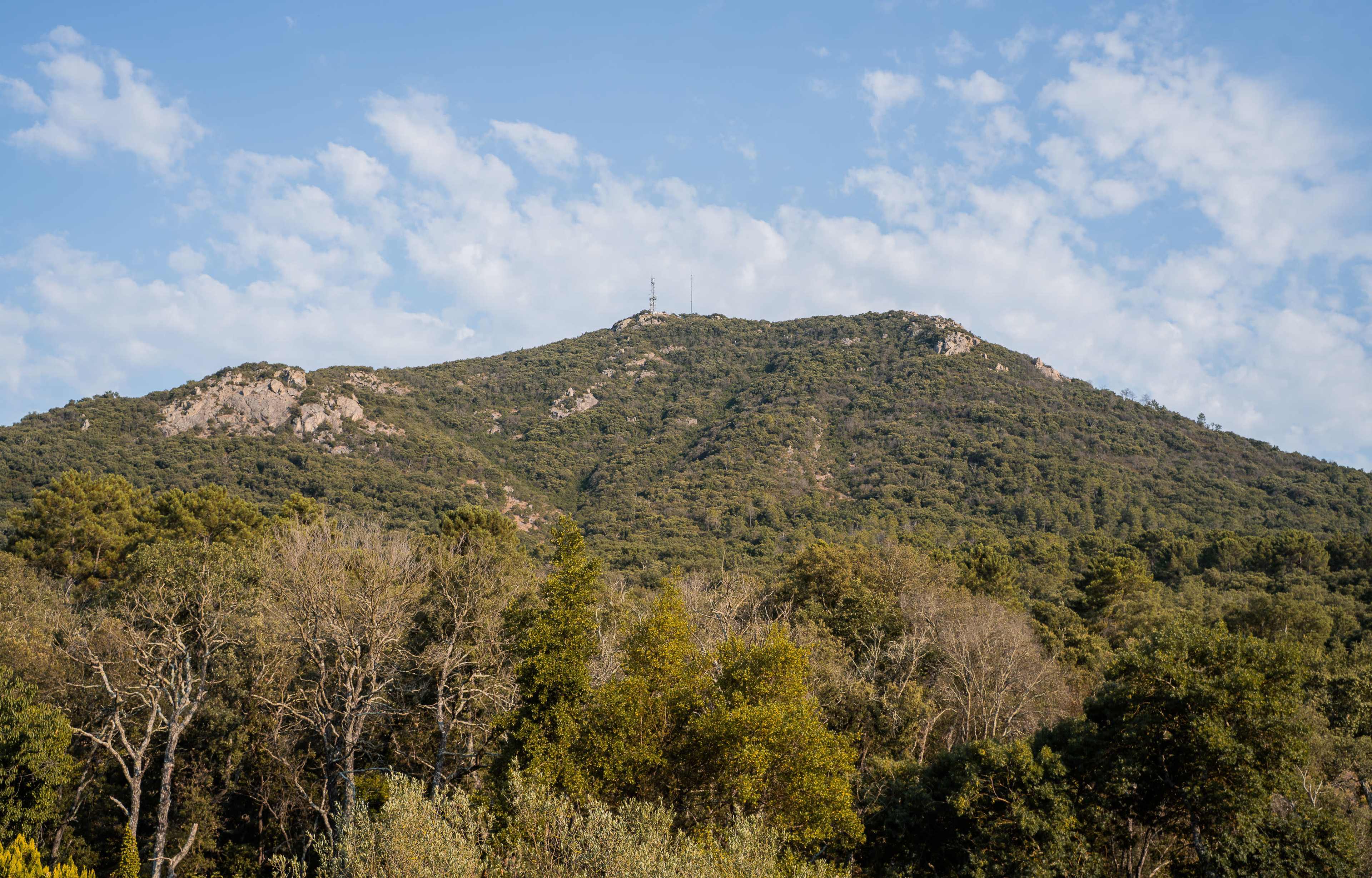 maison d'hôtes provençale au coeur de vignes Image in , LE PLAN DE LA TOUR