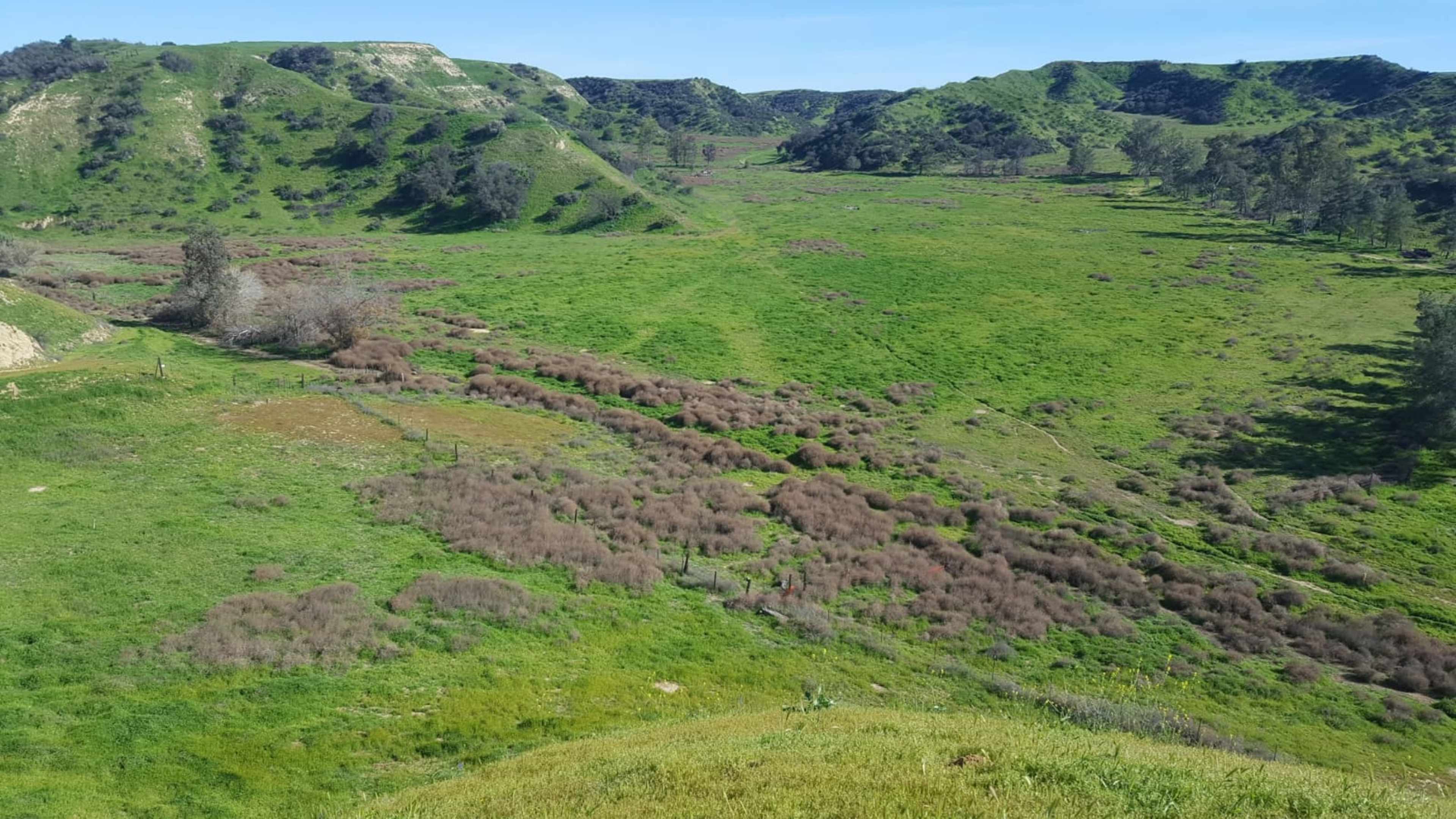 The image shows a wide, green valley surrounded by rolling hills and patches of vegetation.