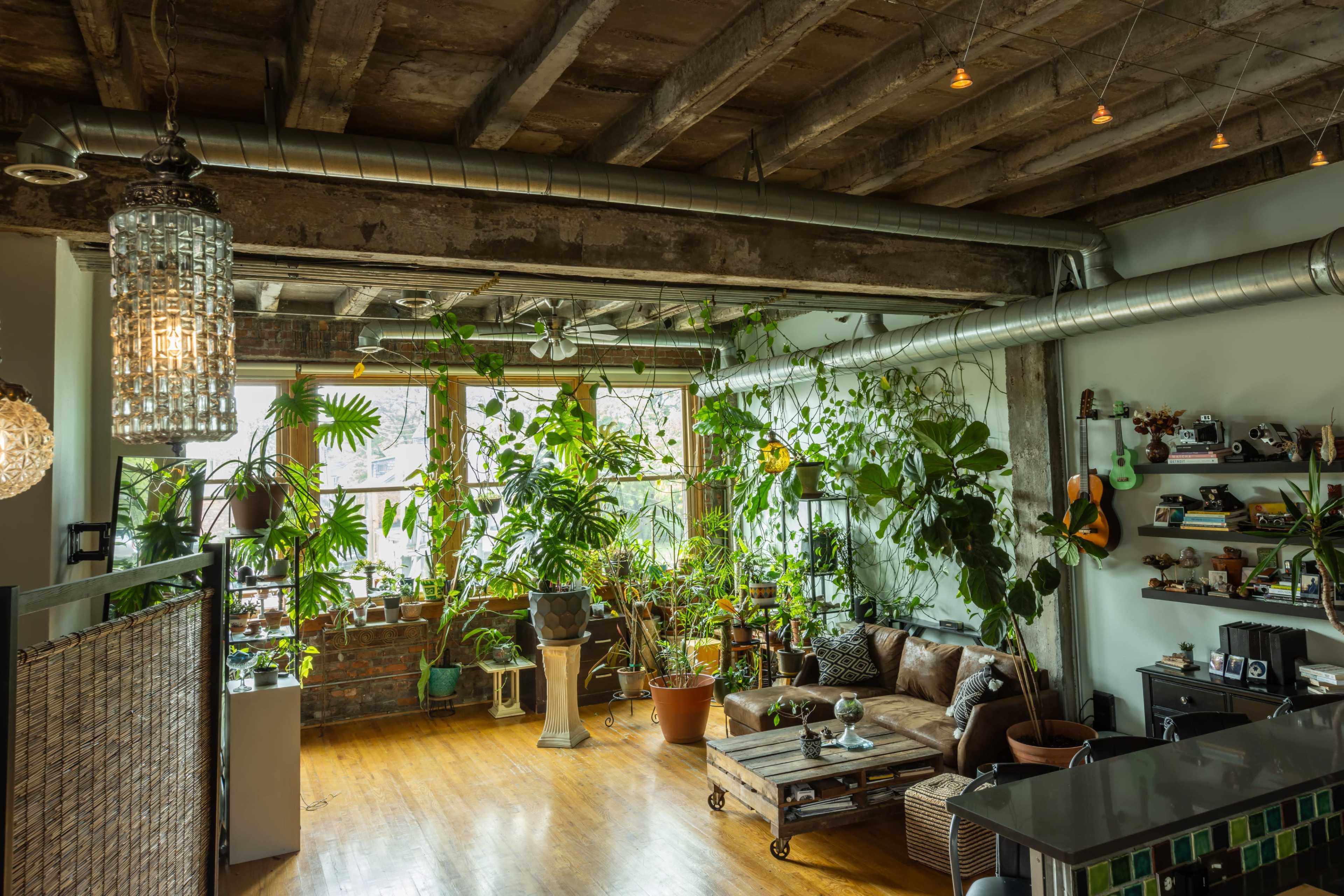 The image features a spacious loft-style living room with exposed beams, large windows filled with indoor plants, and a mix of modern and rustic furnishings.