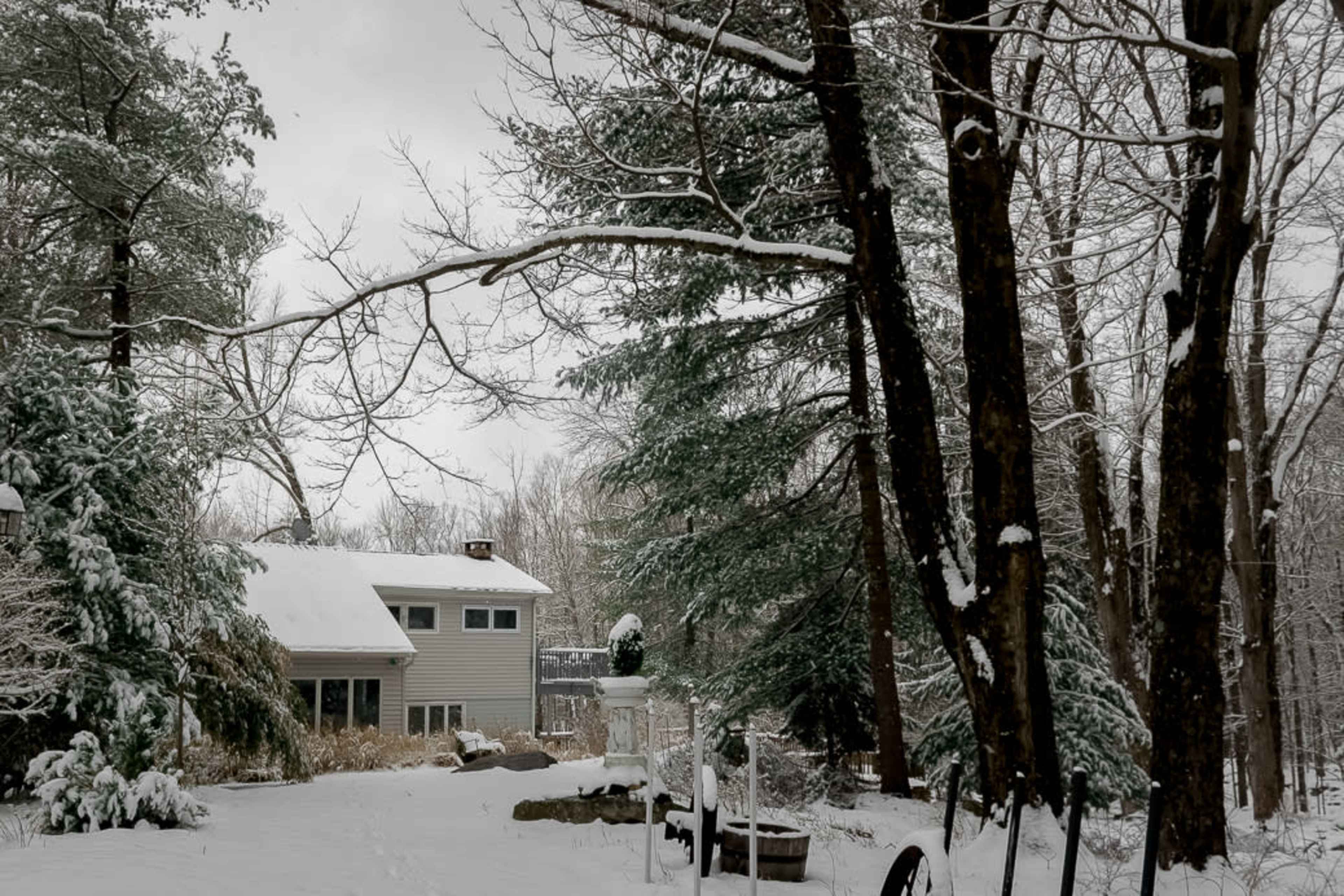 A snow-covered landscape features a house in the background surrounded by tall trees and a small garden area.
