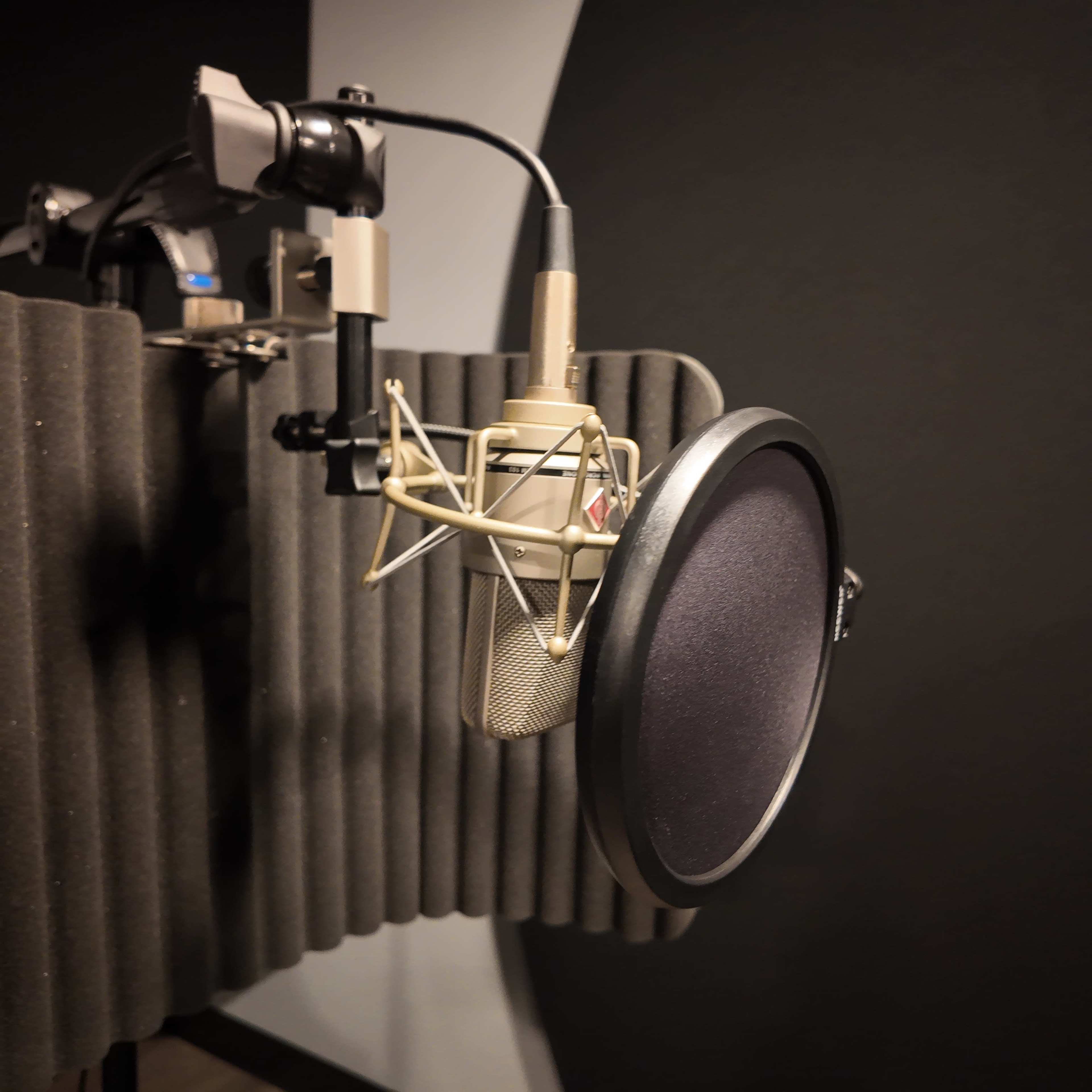 A microphone is mounted in a soundproof booth surrounded by acoustic panels.