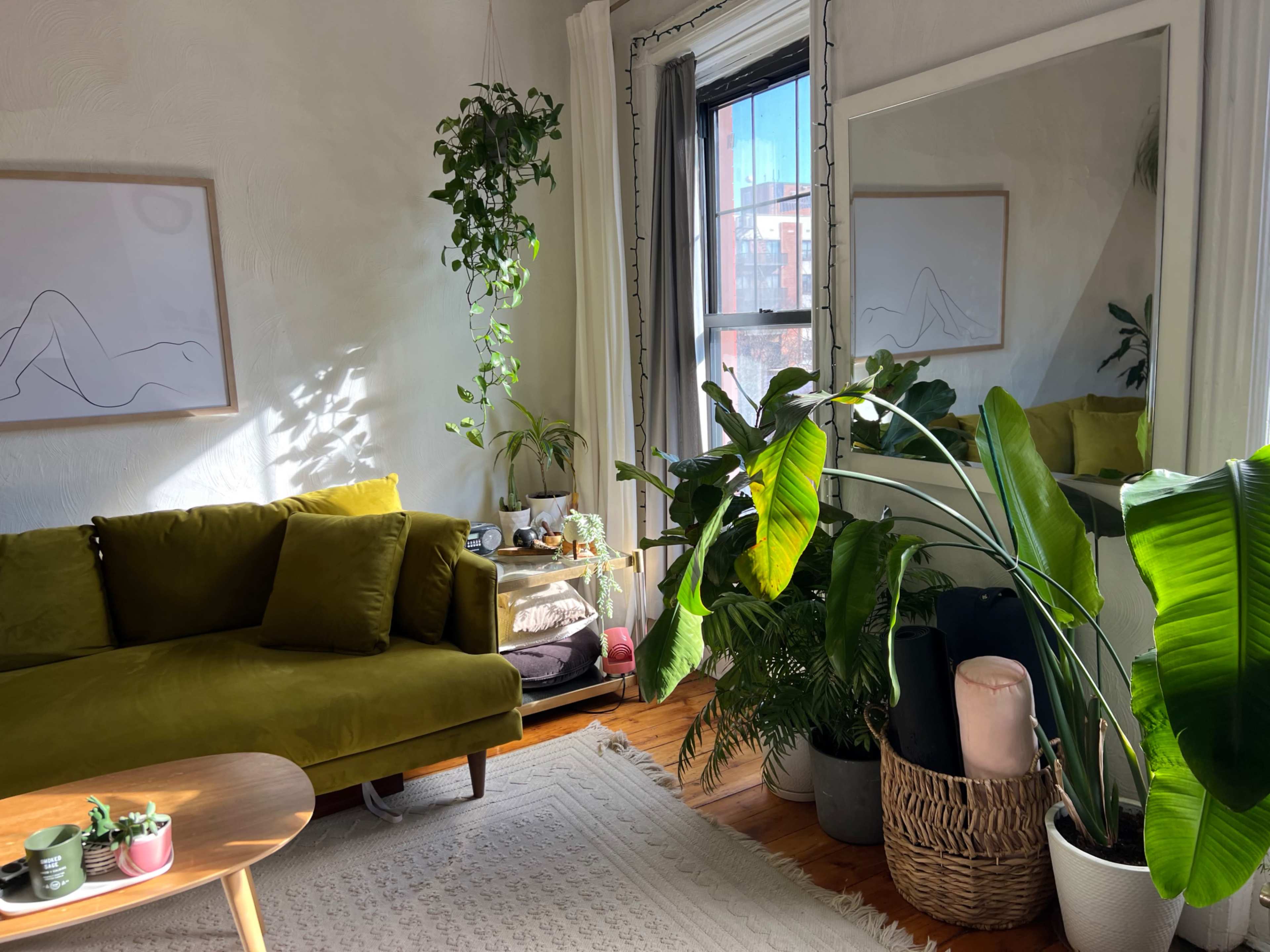 A modern living room features a yellow sofa, a large mirror, and various plants beside a window.