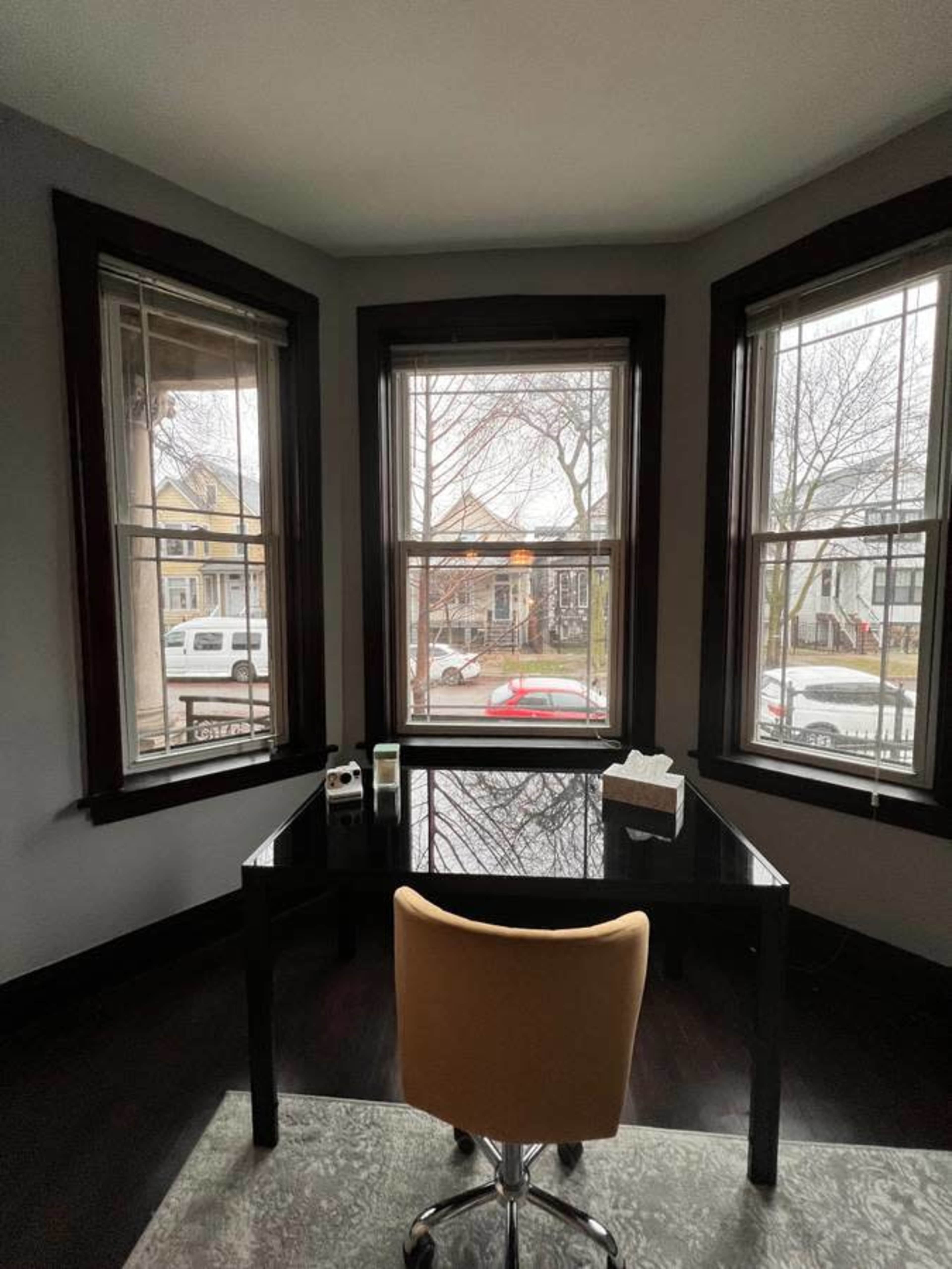 Logan Square Modern Apartment Image in Logan Square, Chicago, IL