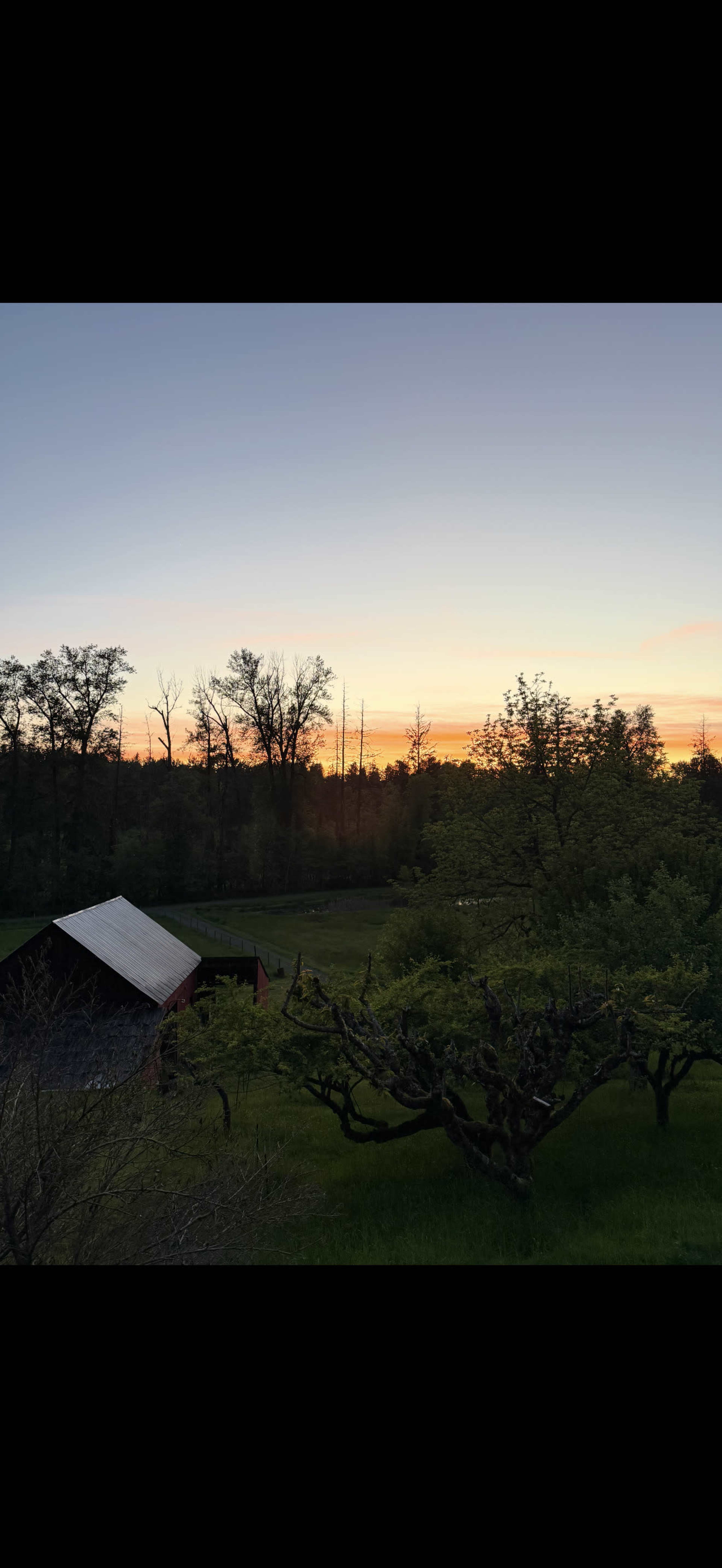 A sunset casts a warm glow over a rural landscape featuring a small shed and trees on a grassy field.