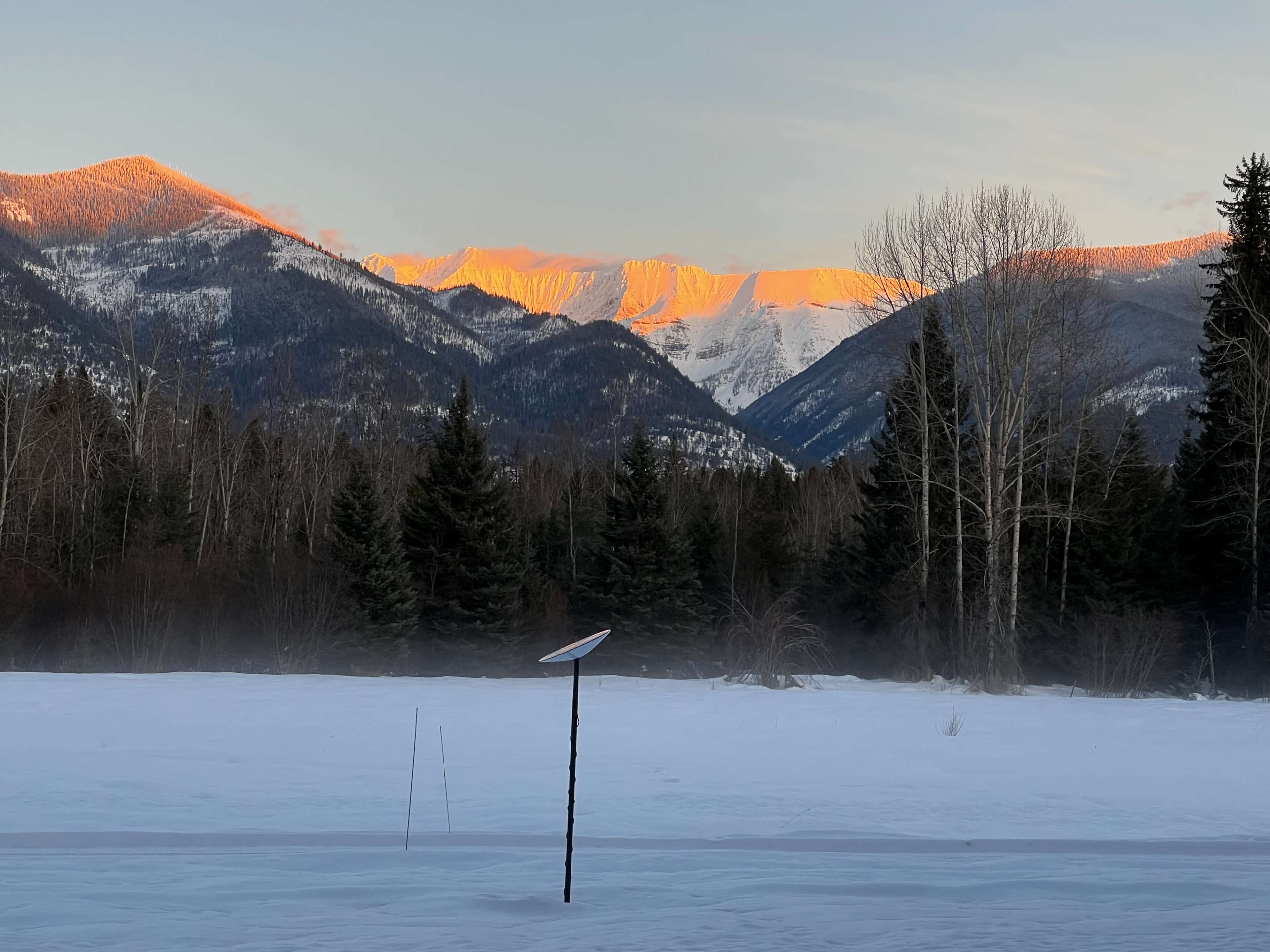 A snow-covered landscape with mountains illuminated by the sunrise and scattered trees in the foreground.
