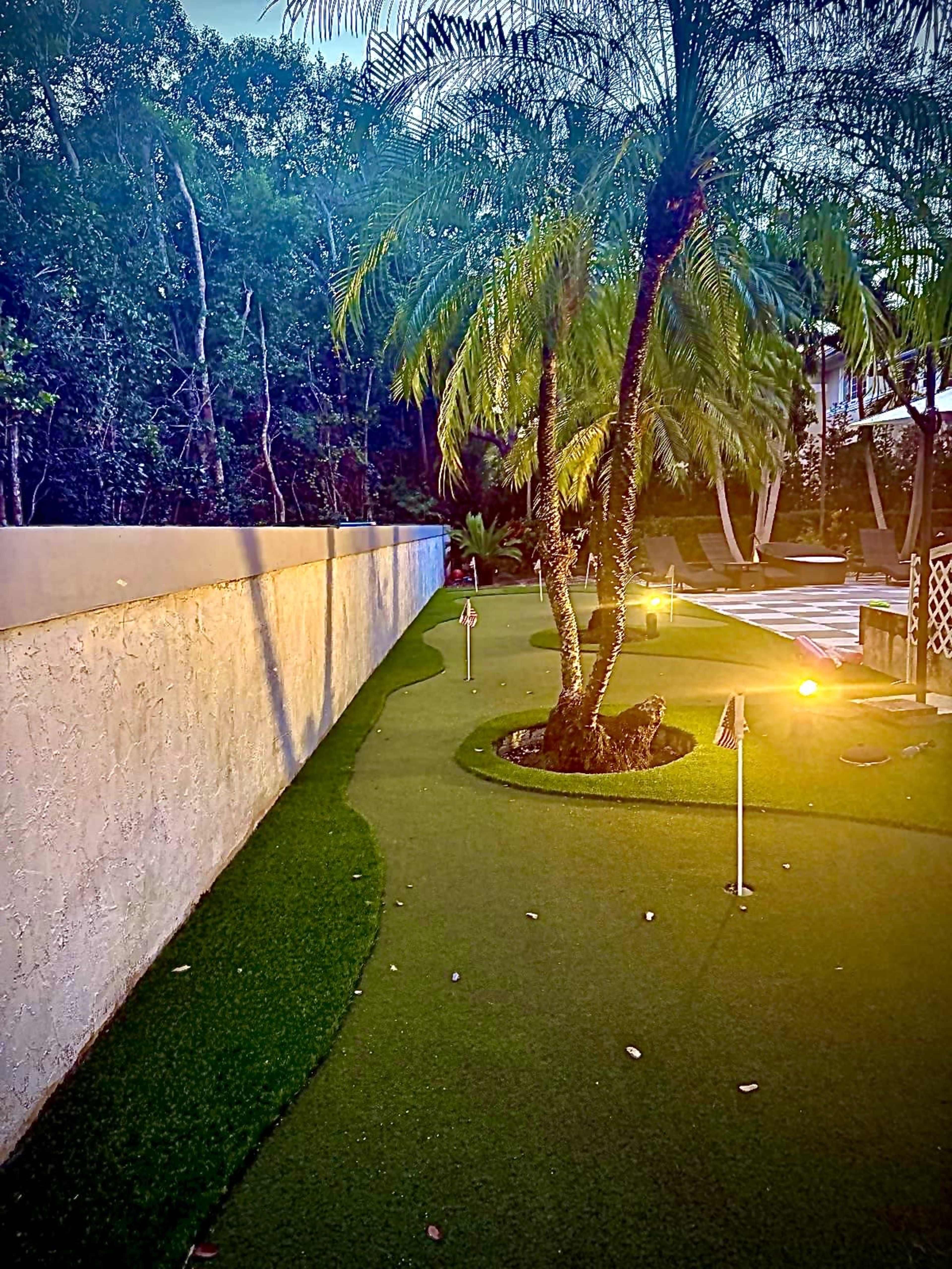 The image shows a landscaped backyard with a putting green, palm trees, and strategically placed lights along a pathway beside a wall.