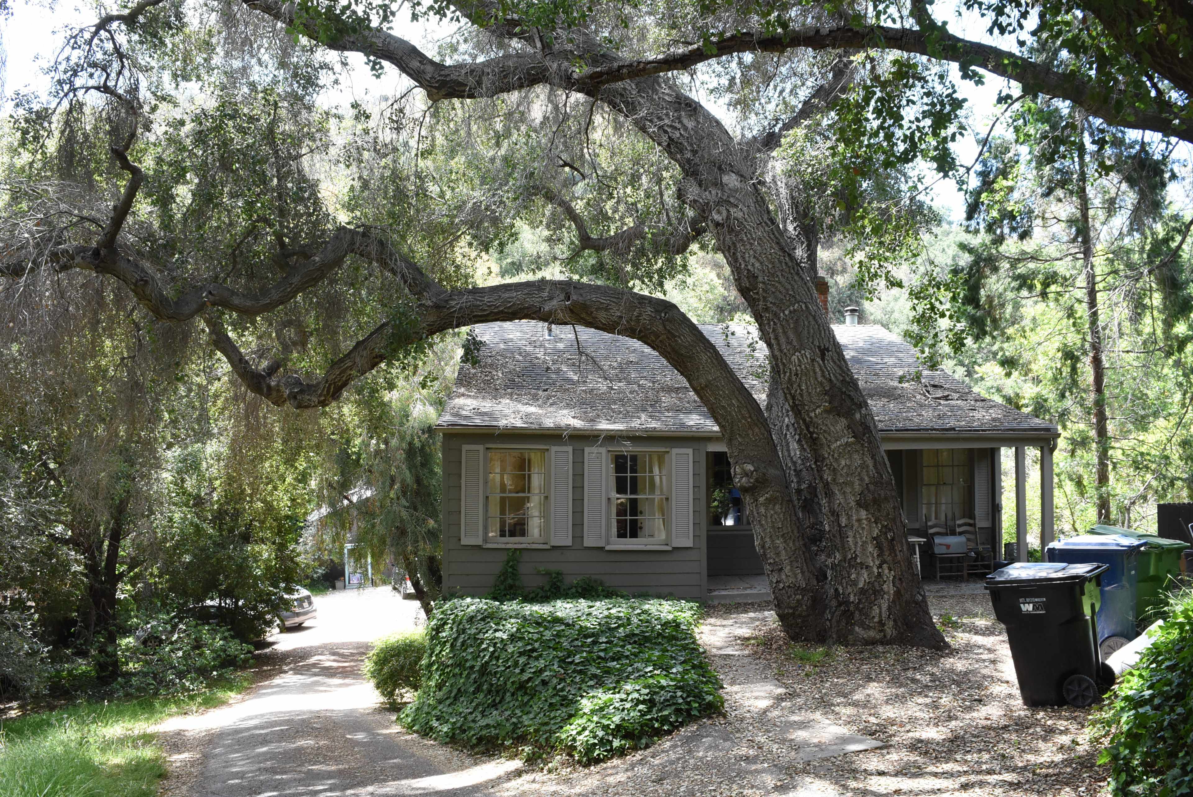 A green house with a sloped roof sits beside a large, overhanging tree, with a gravel path leading to it and trash bins positioned nearby.