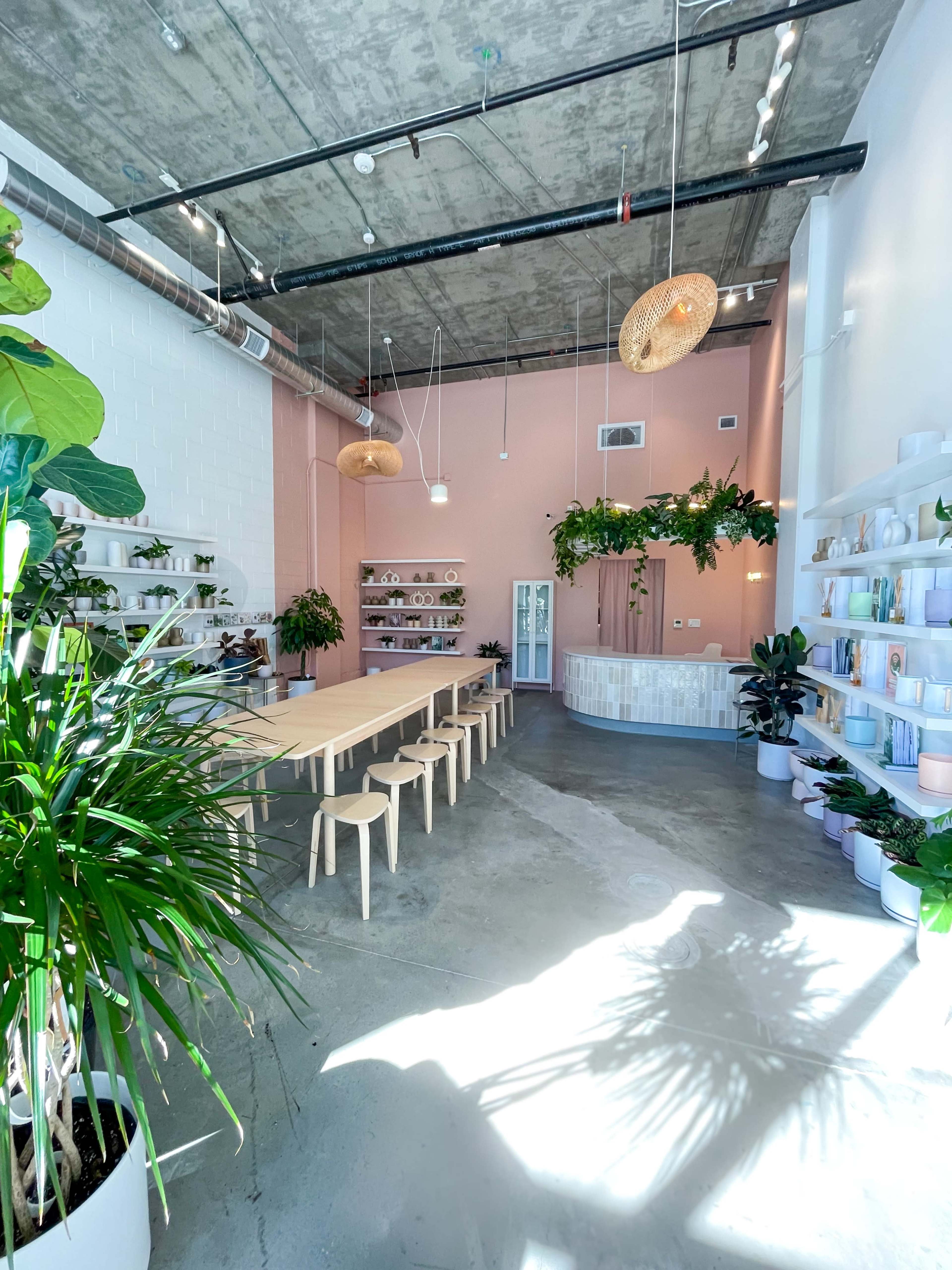 A spacious, modern interior of a shop or studio adorned with various plants, a long wooden table, and shelves displaying colorful items against a pink accent wall.