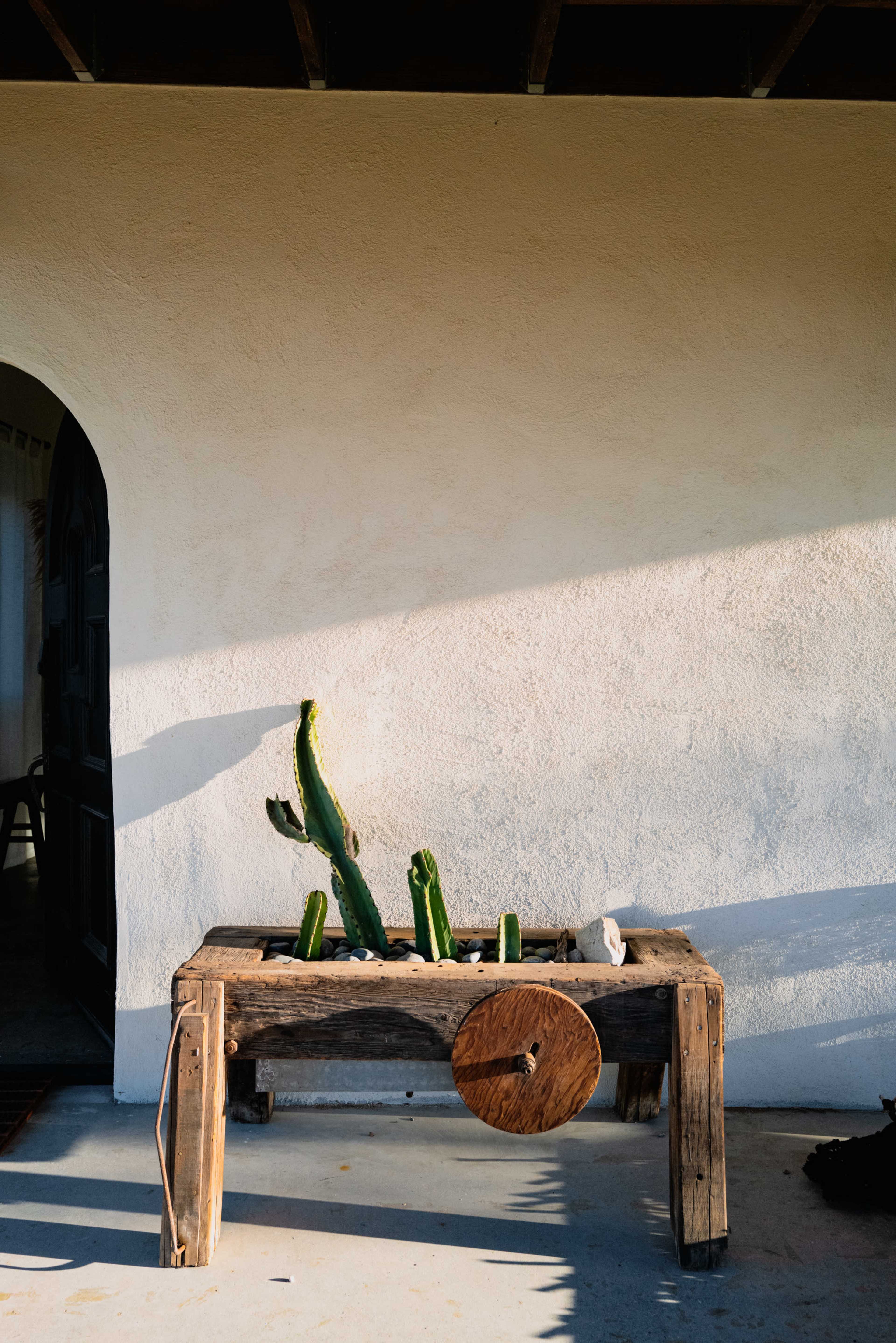 A wooden table with a circular wheel features tall cacti in a minimalist outdoor setting against a white wall.