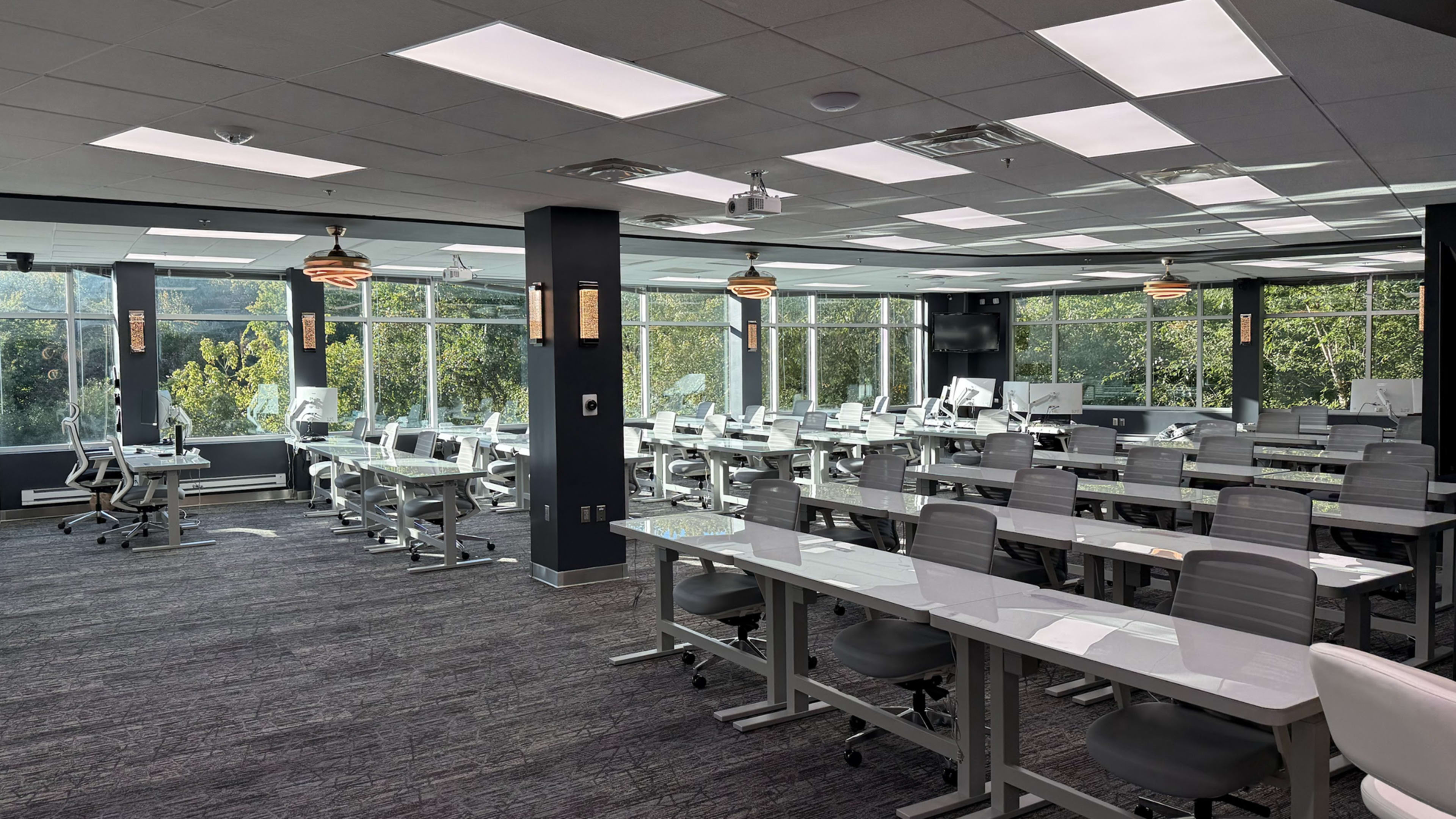 Modern Training Classroom with Naturalistic Views Image in Hunter Mill District, Reston, VA