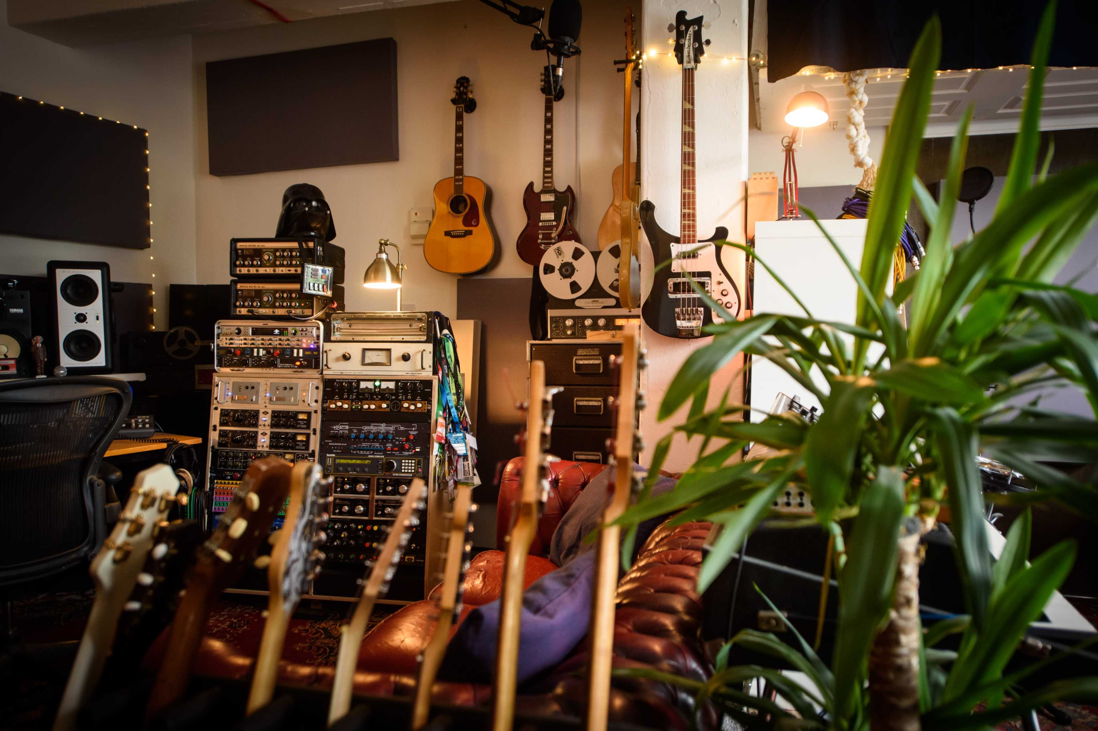 The image shows a music studio filled with various guitars, a sound equipment rack, and instruments hanging on the walls, with a leafy plant in the foreground.