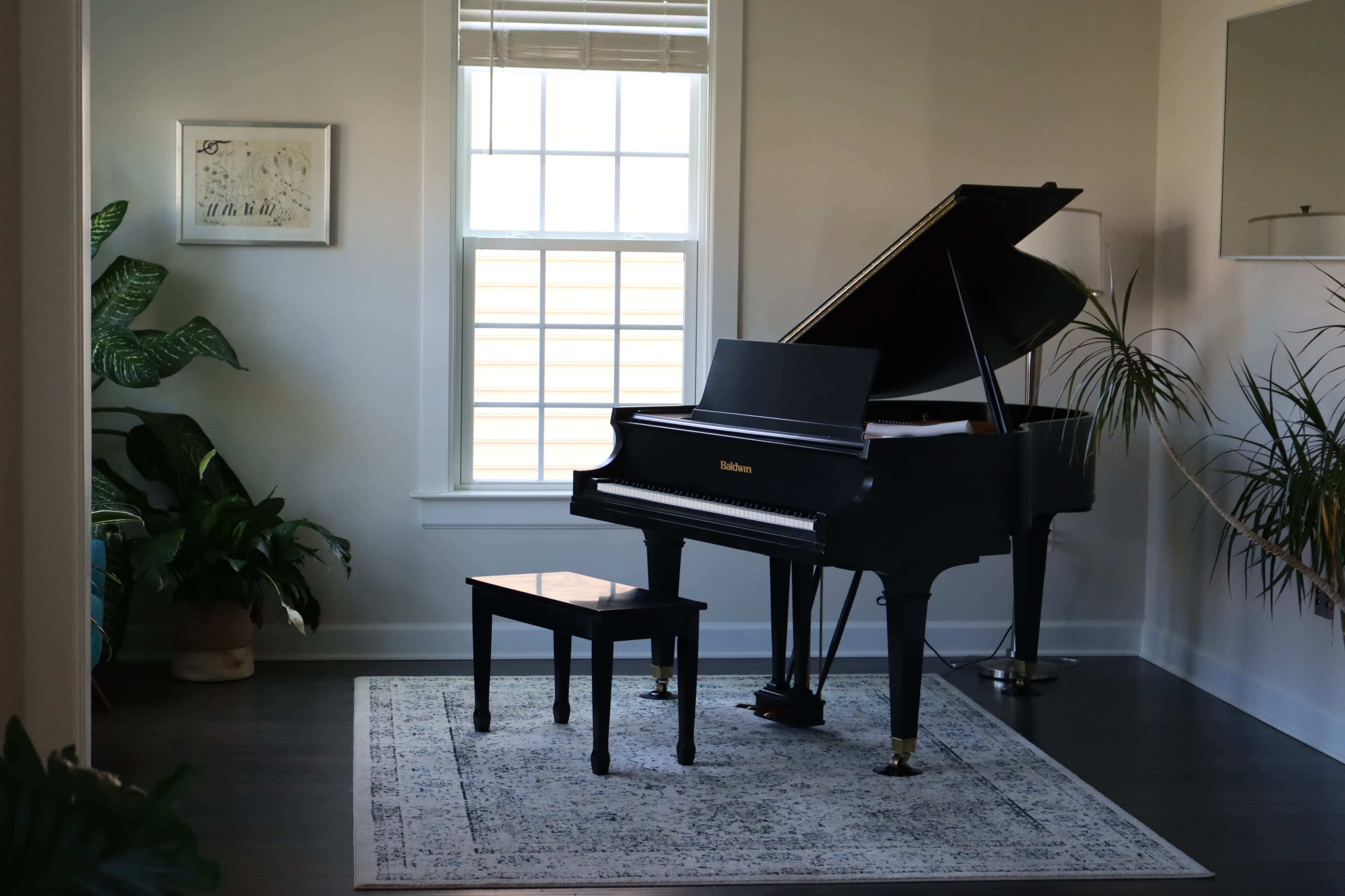 A black grand piano with a matching bench is positioned beside a window in a well-lit room, surrounded by indoor plants and a decorative rug.