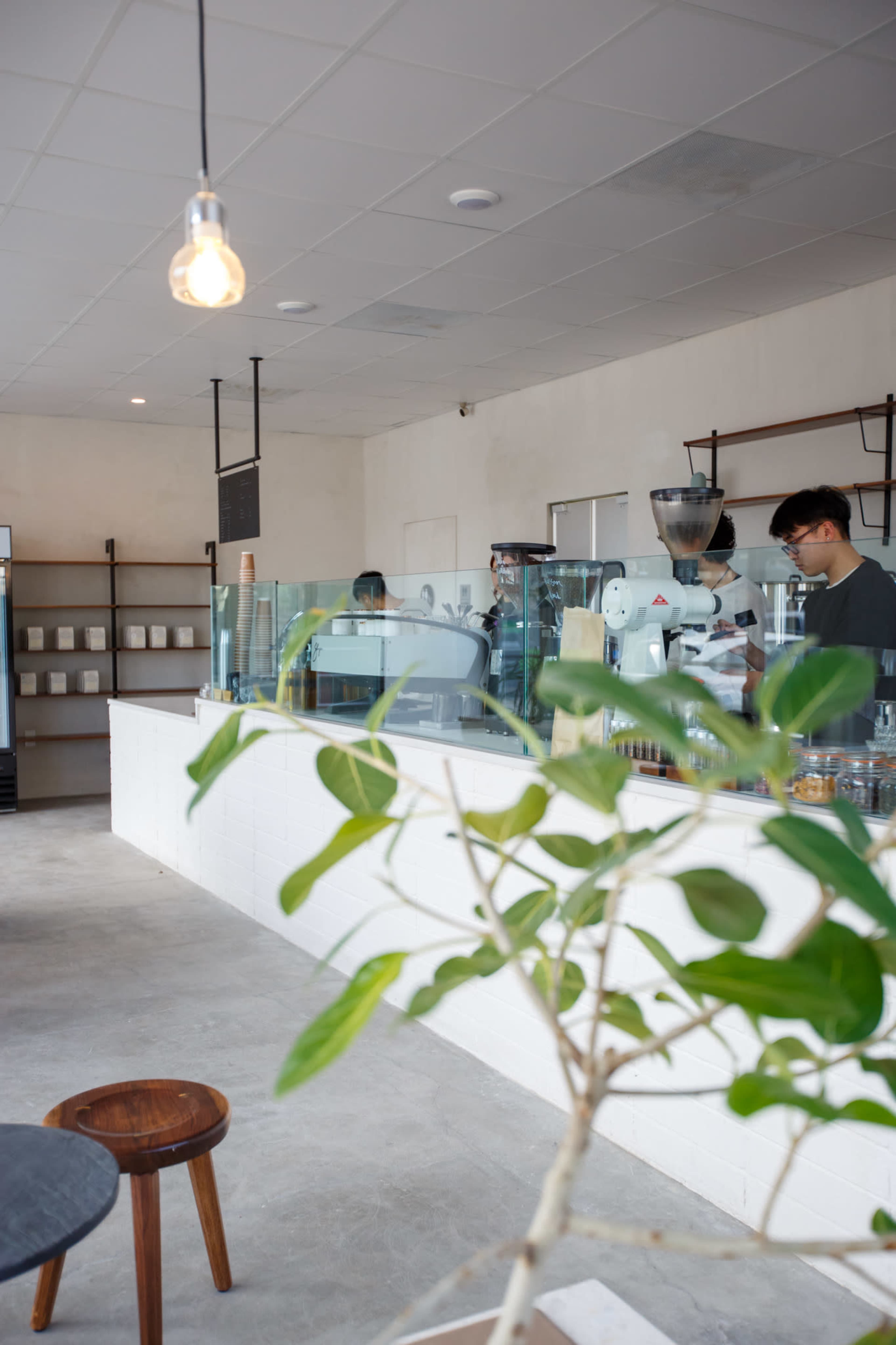 A coffee shop interior features a counter with baristas behind it, shelves of products, and a small potted plant in the foreground.
