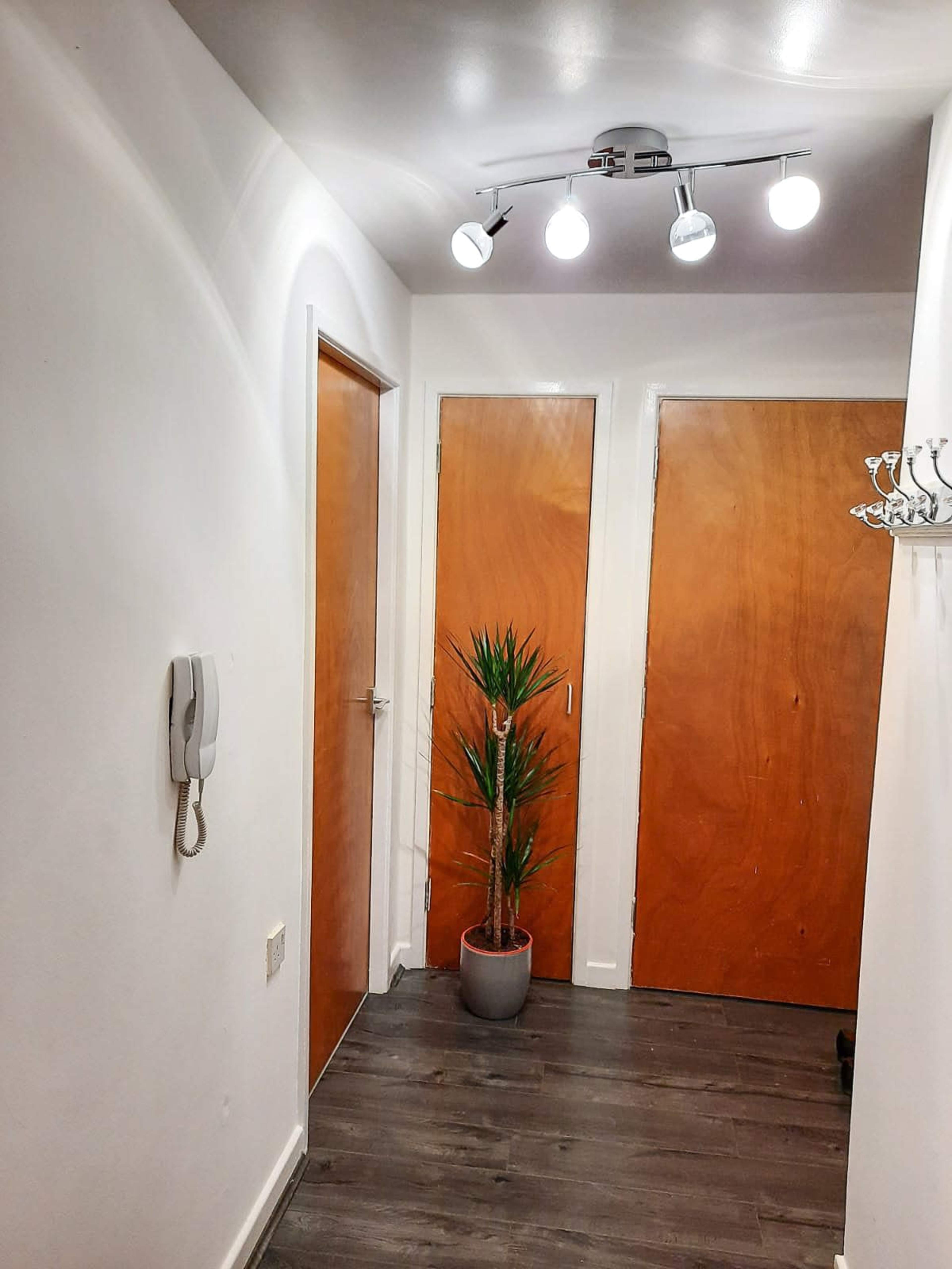 A narrow hallway with two wooden doors, a potted plant in the corner, and overhead lighting.